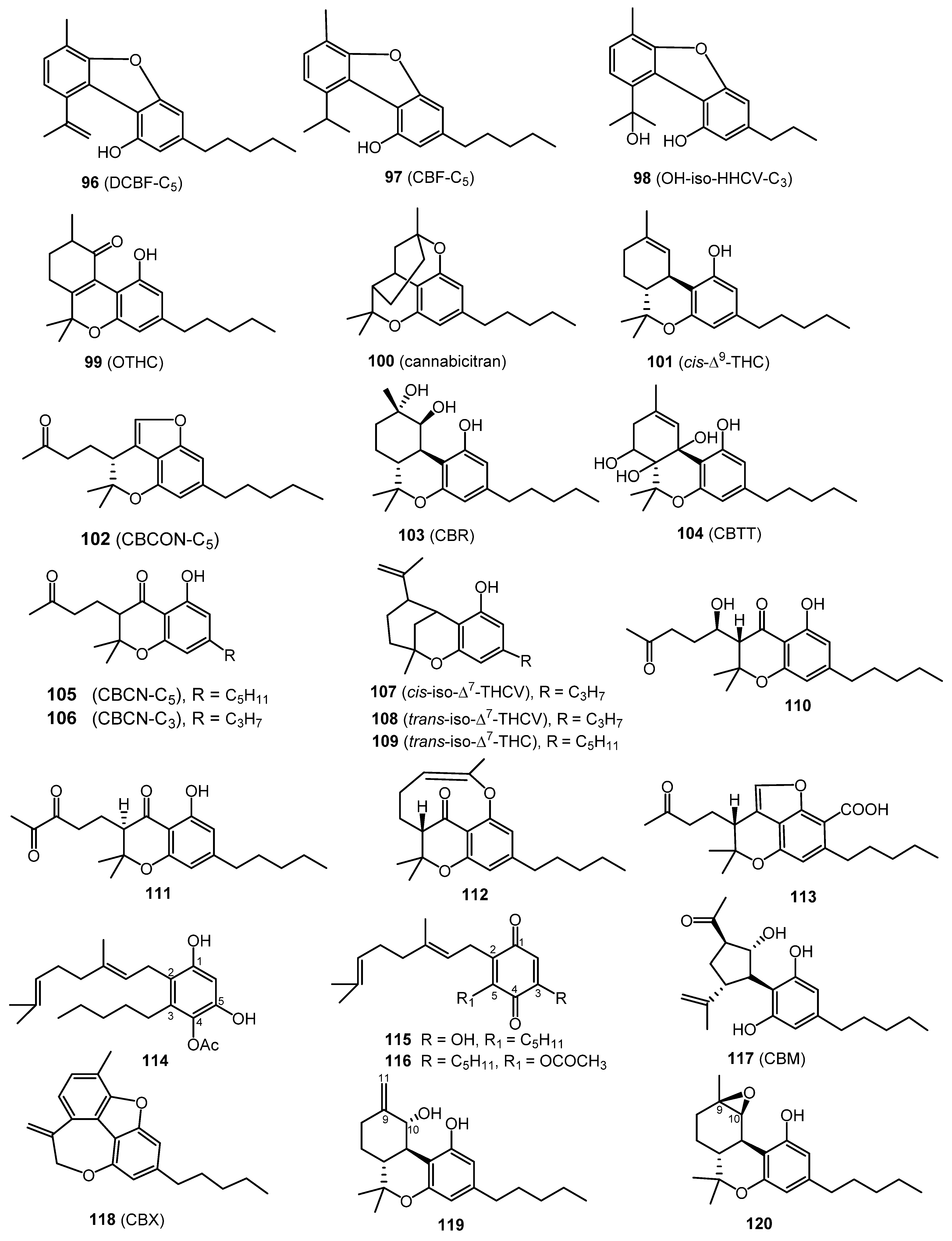 Molecules 26 02774 g007