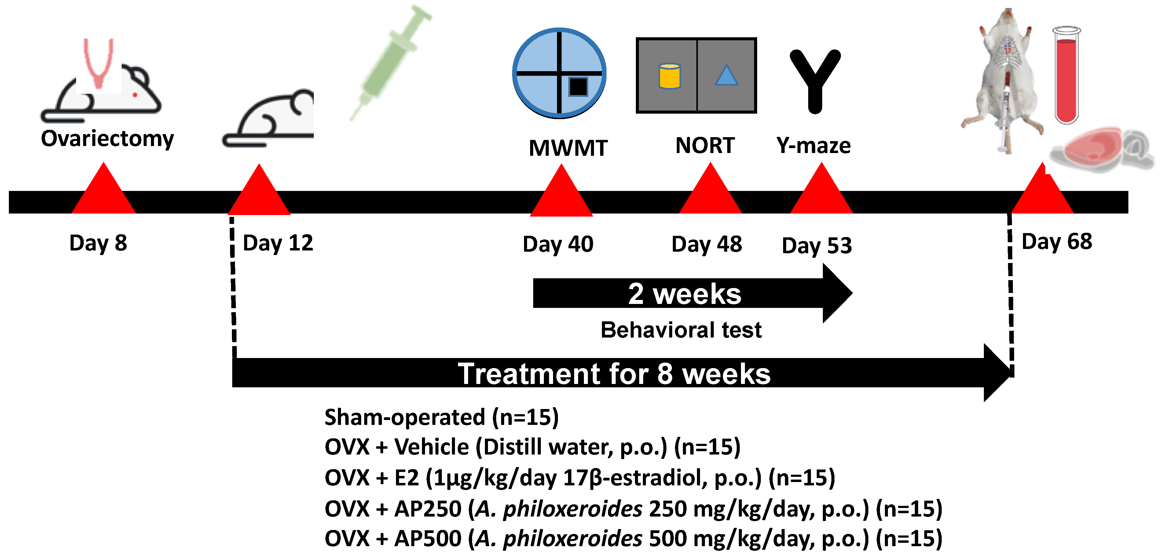 Molecules 26 02789 g010