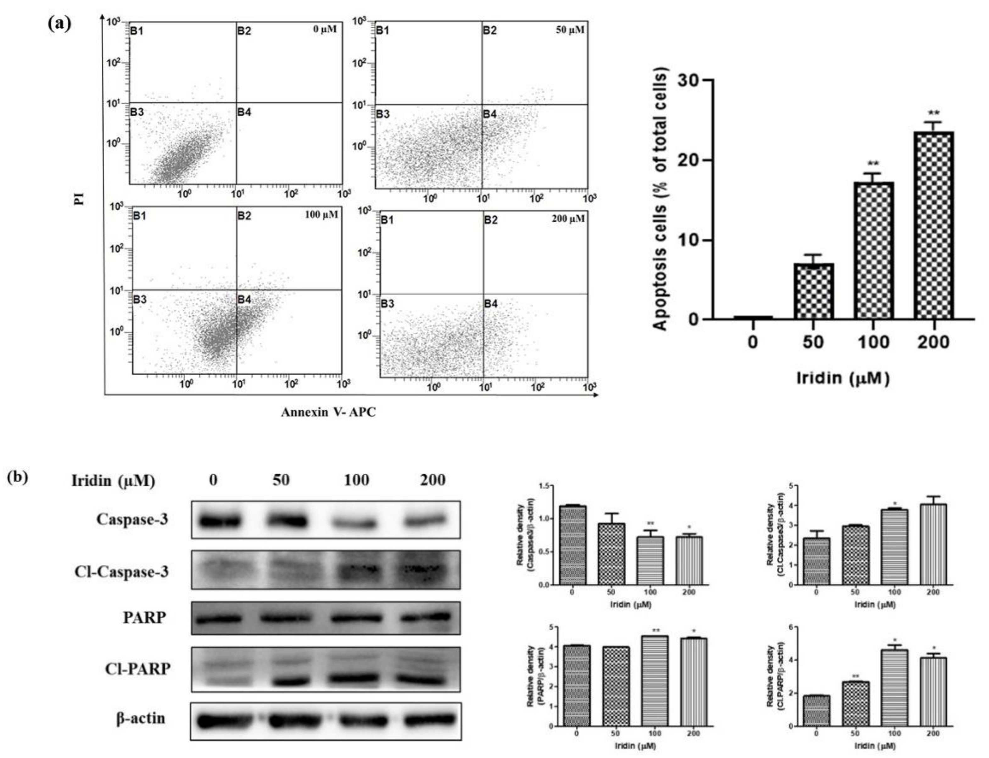 Molecules 26 02802 g003