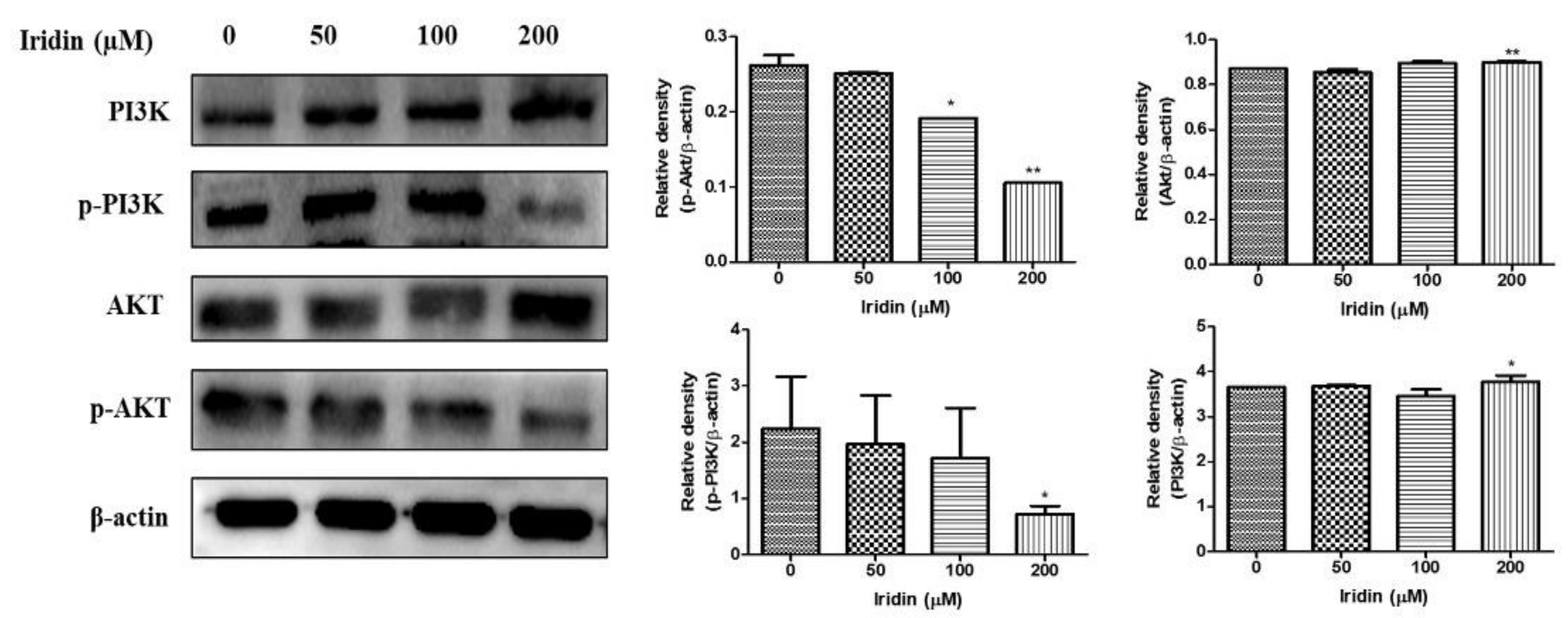 Molecules 26 02802 g005