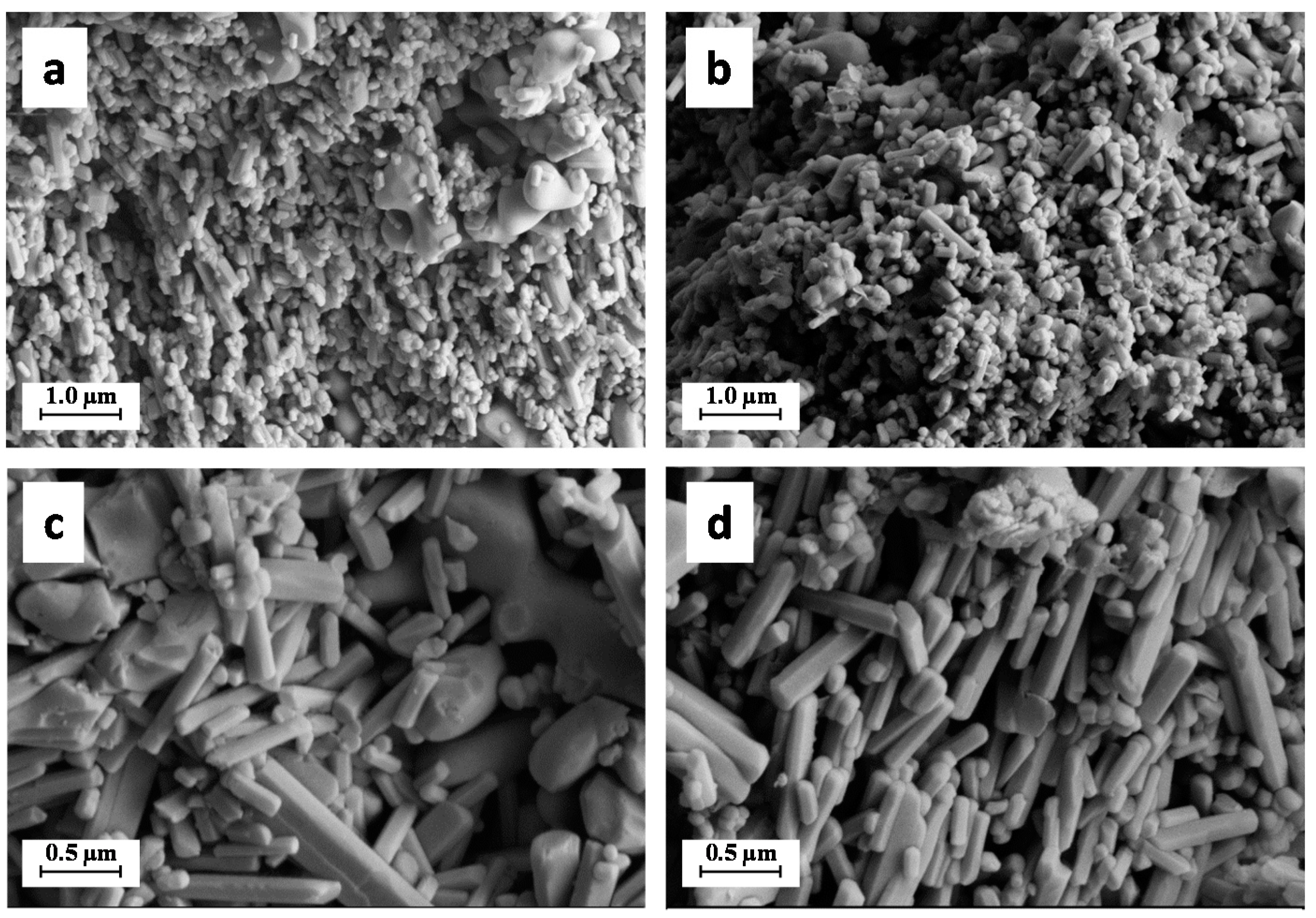 Molecules 26 02810 g004