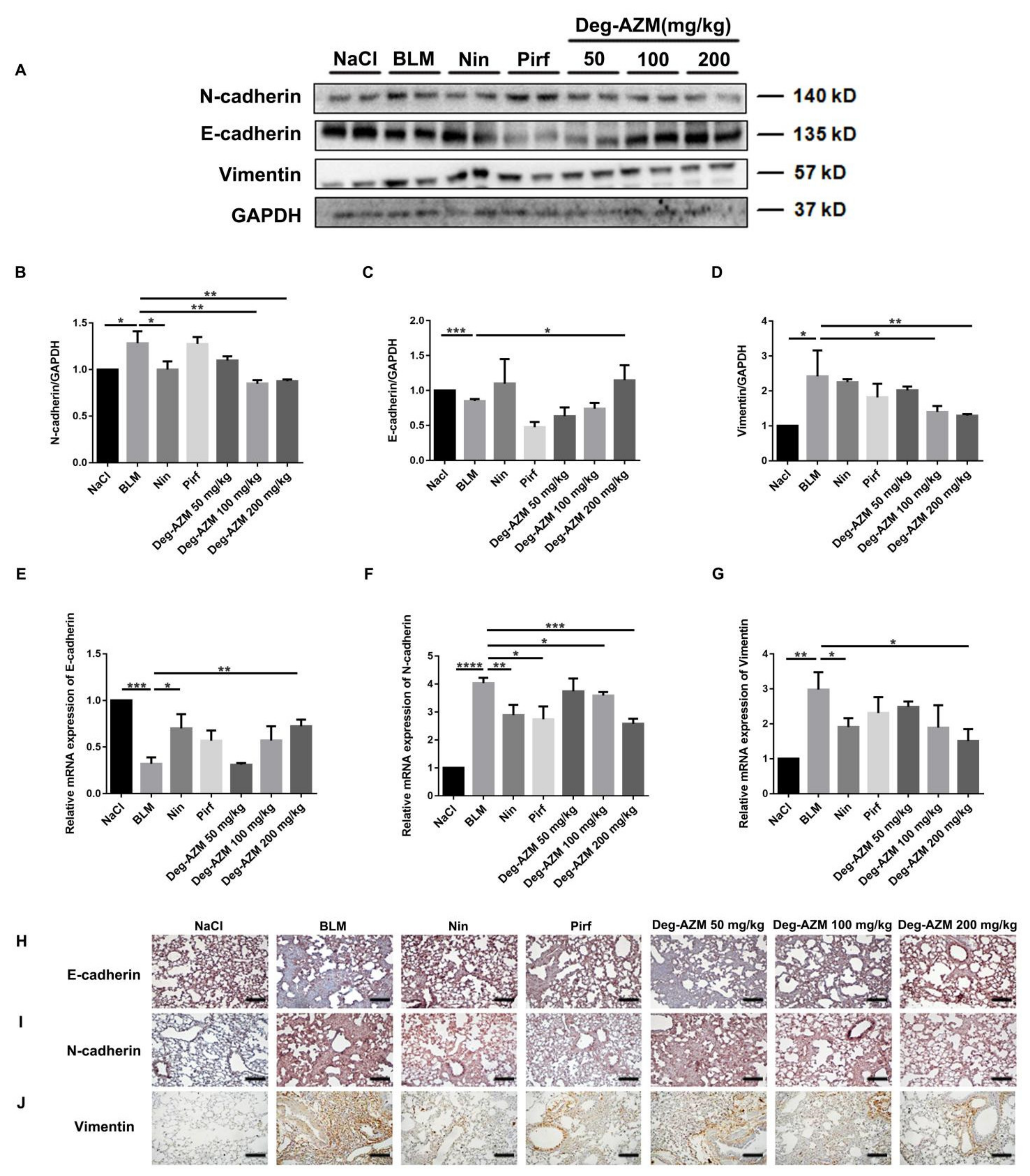 Molecules 26 02820 g008