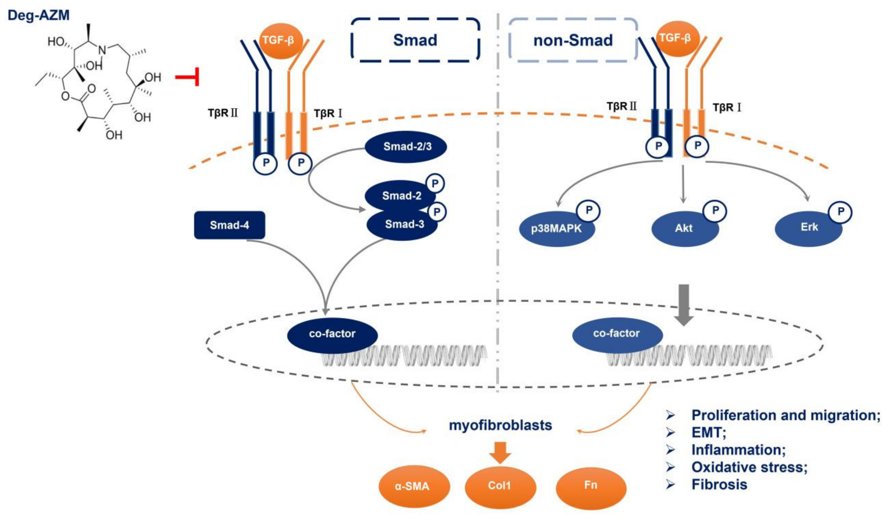 Molecules 26 02820 g009