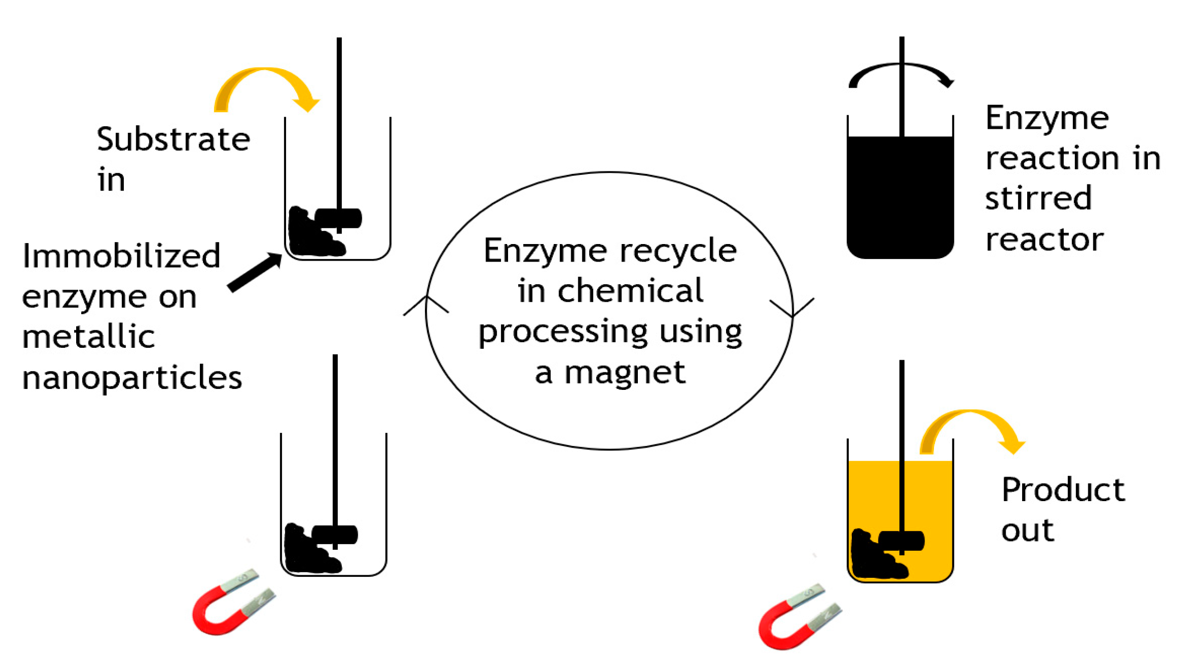 Molecules 26 02822 g005