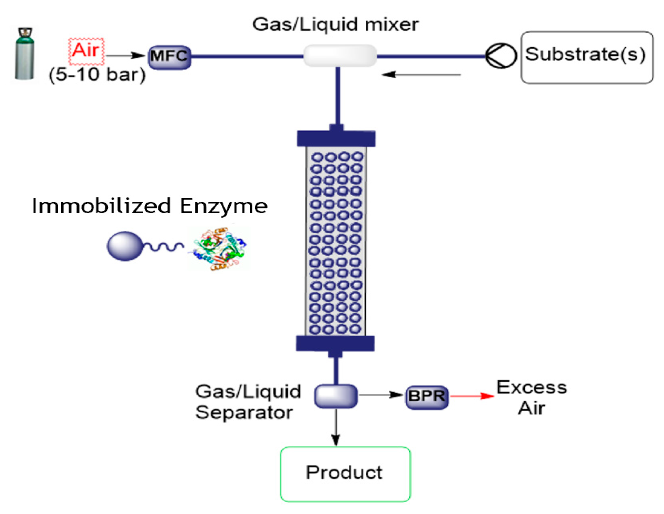 Molecules 26 02822 g006