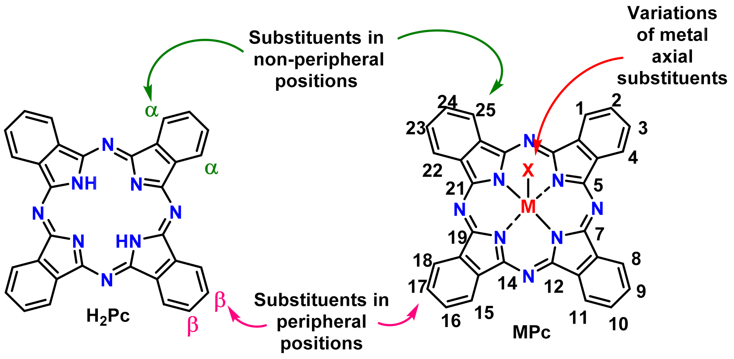 Molecules 26 02823 g001