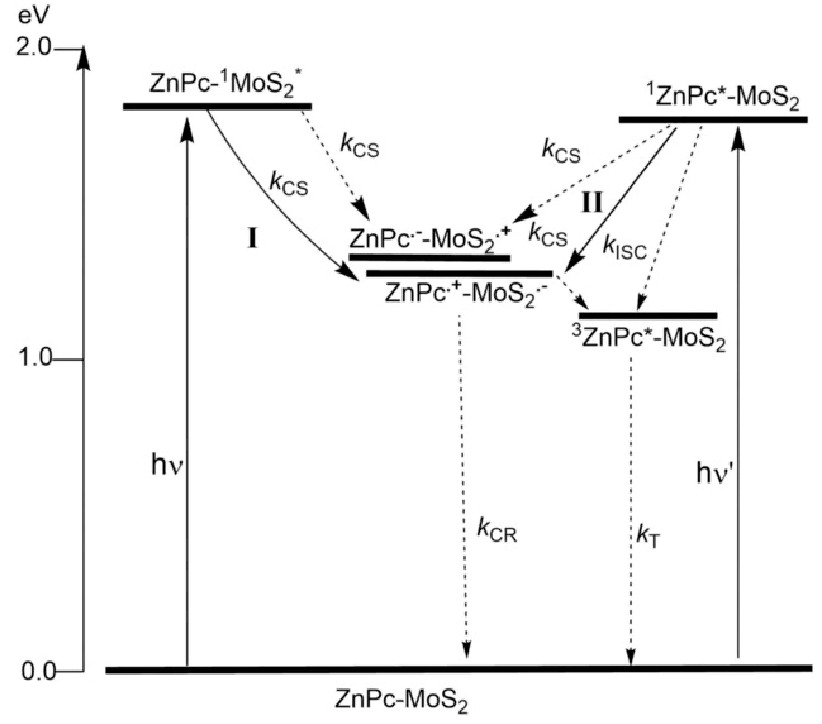 Molecules 26 02823 g008