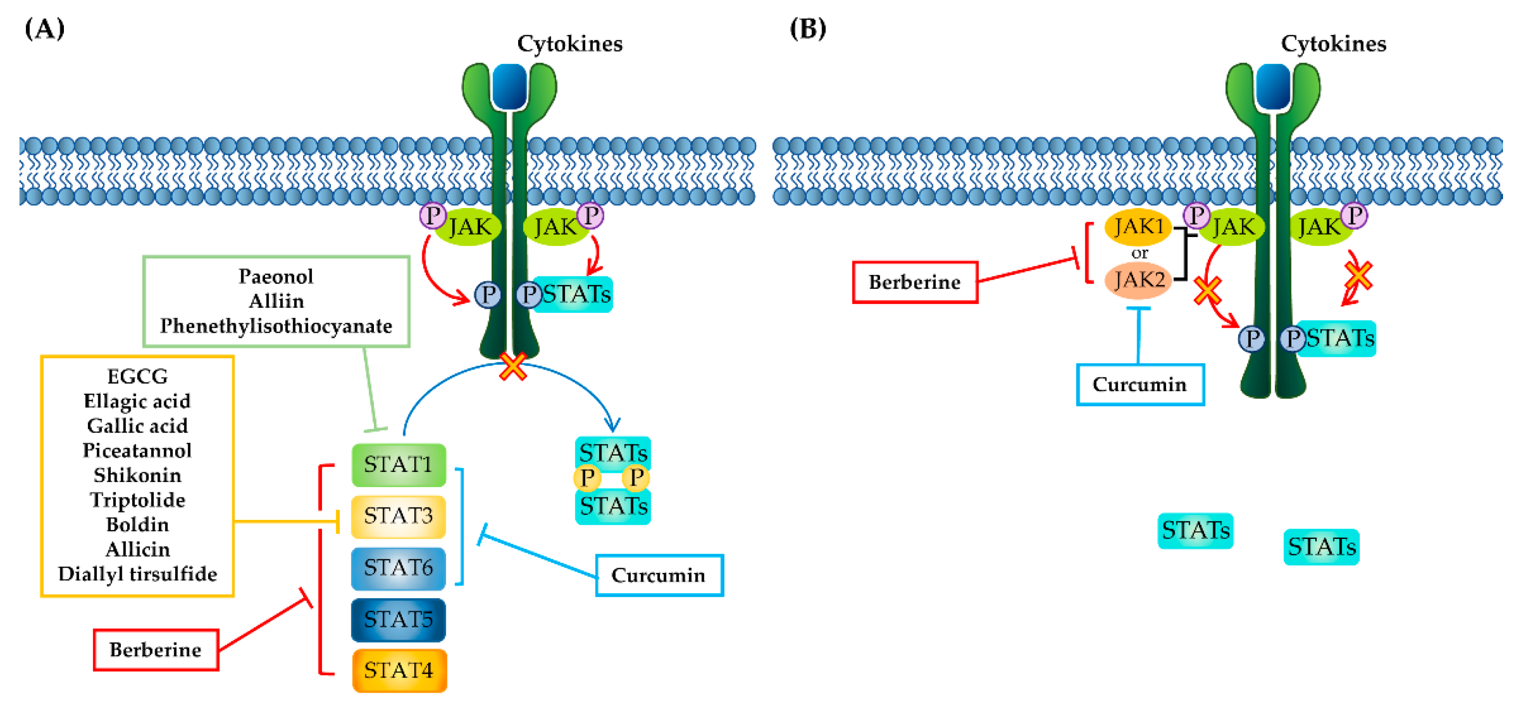 Molecules 26 02824 g003