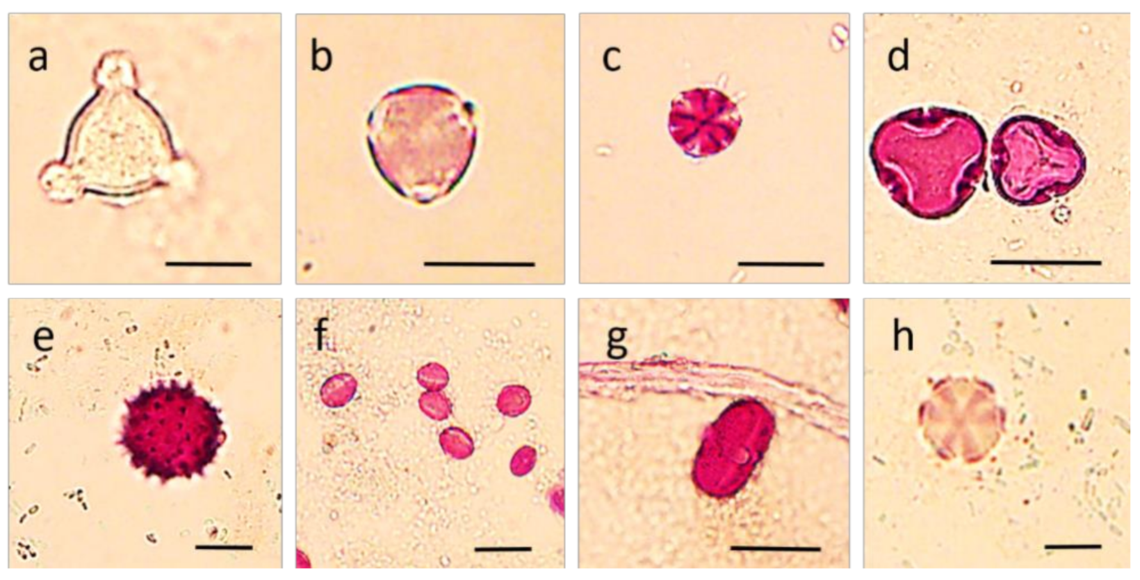 Molecules 26 02825 g001