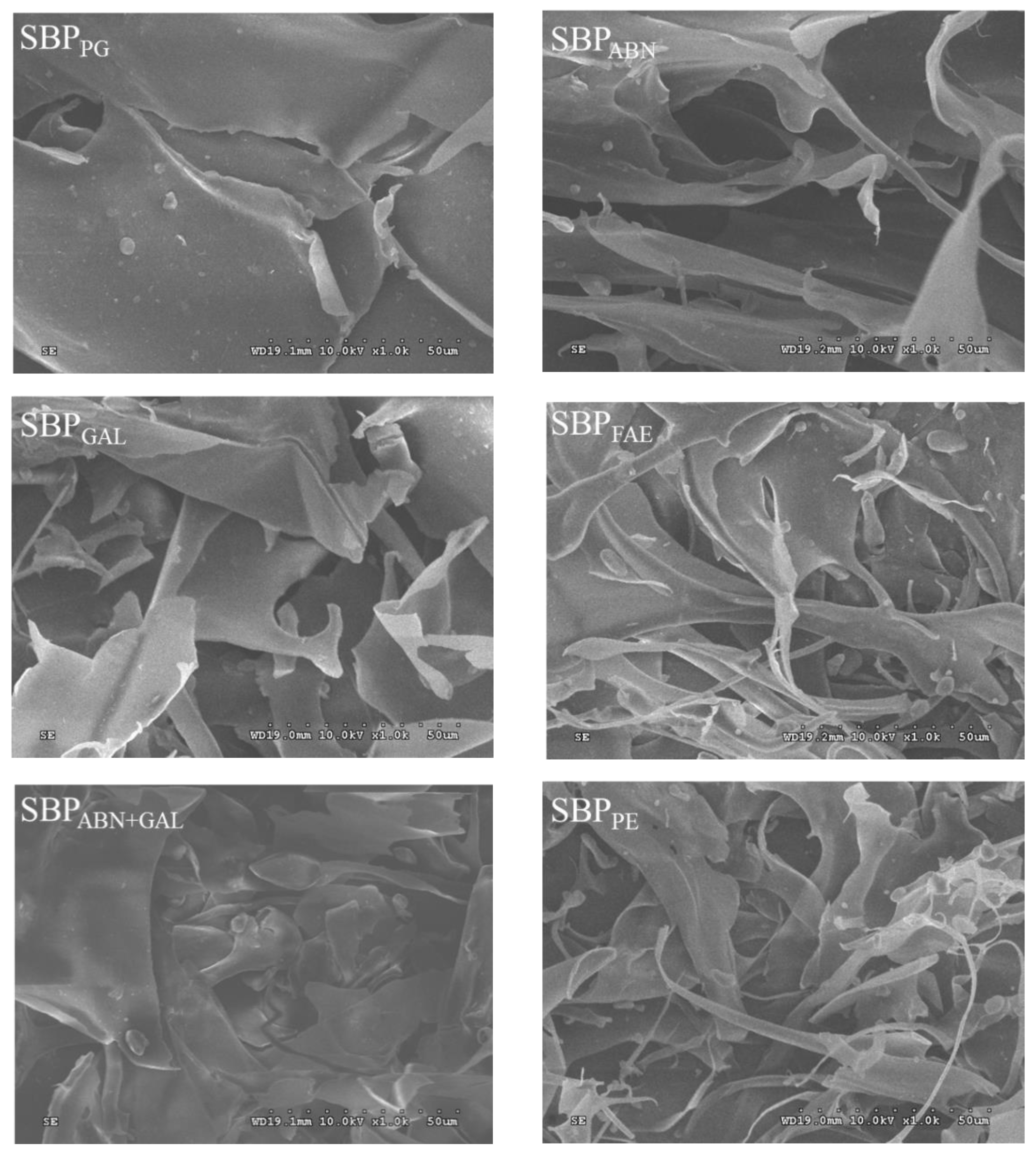 Molecules 26 02829 g004b