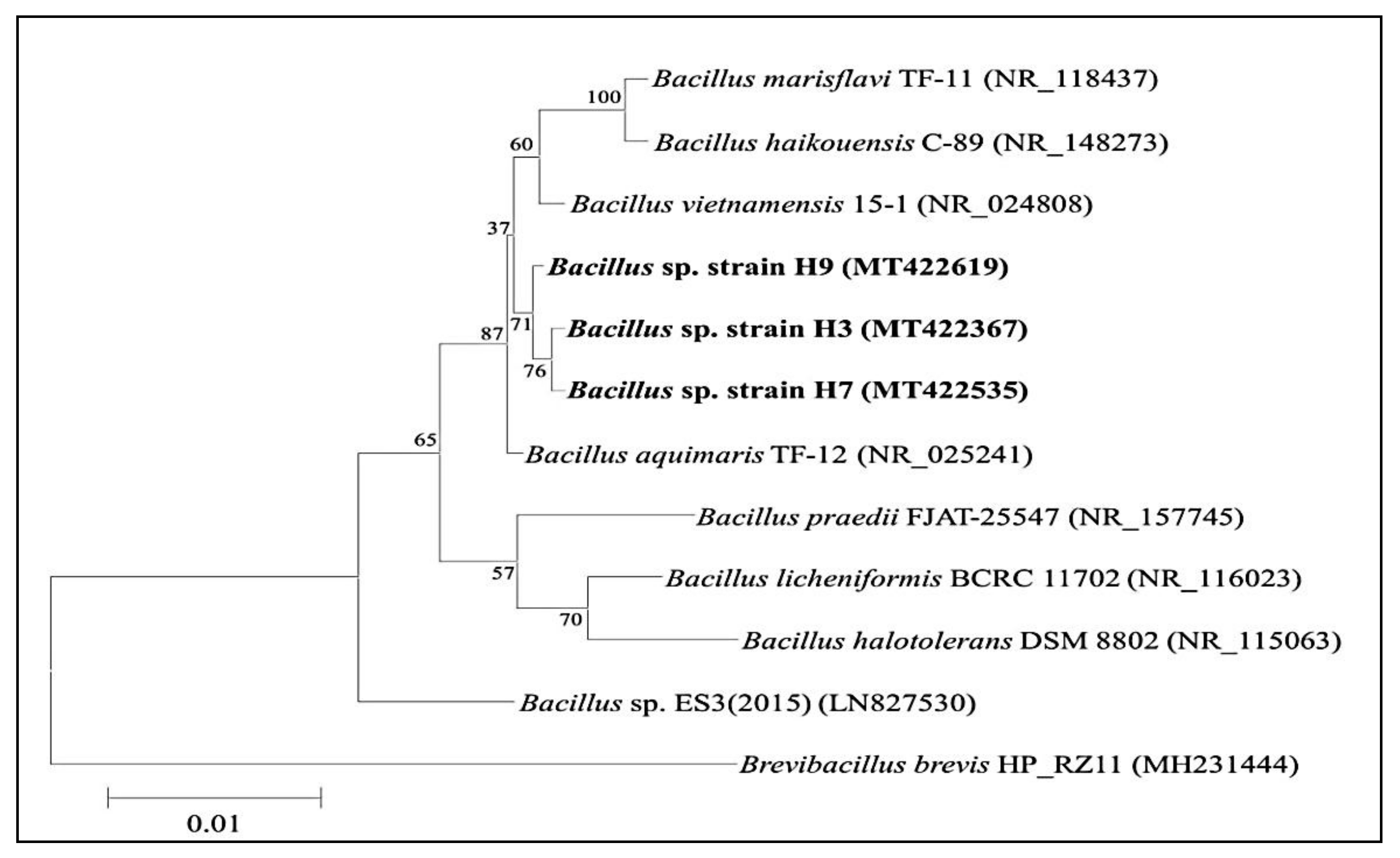 Molecules 26 02833 g001
