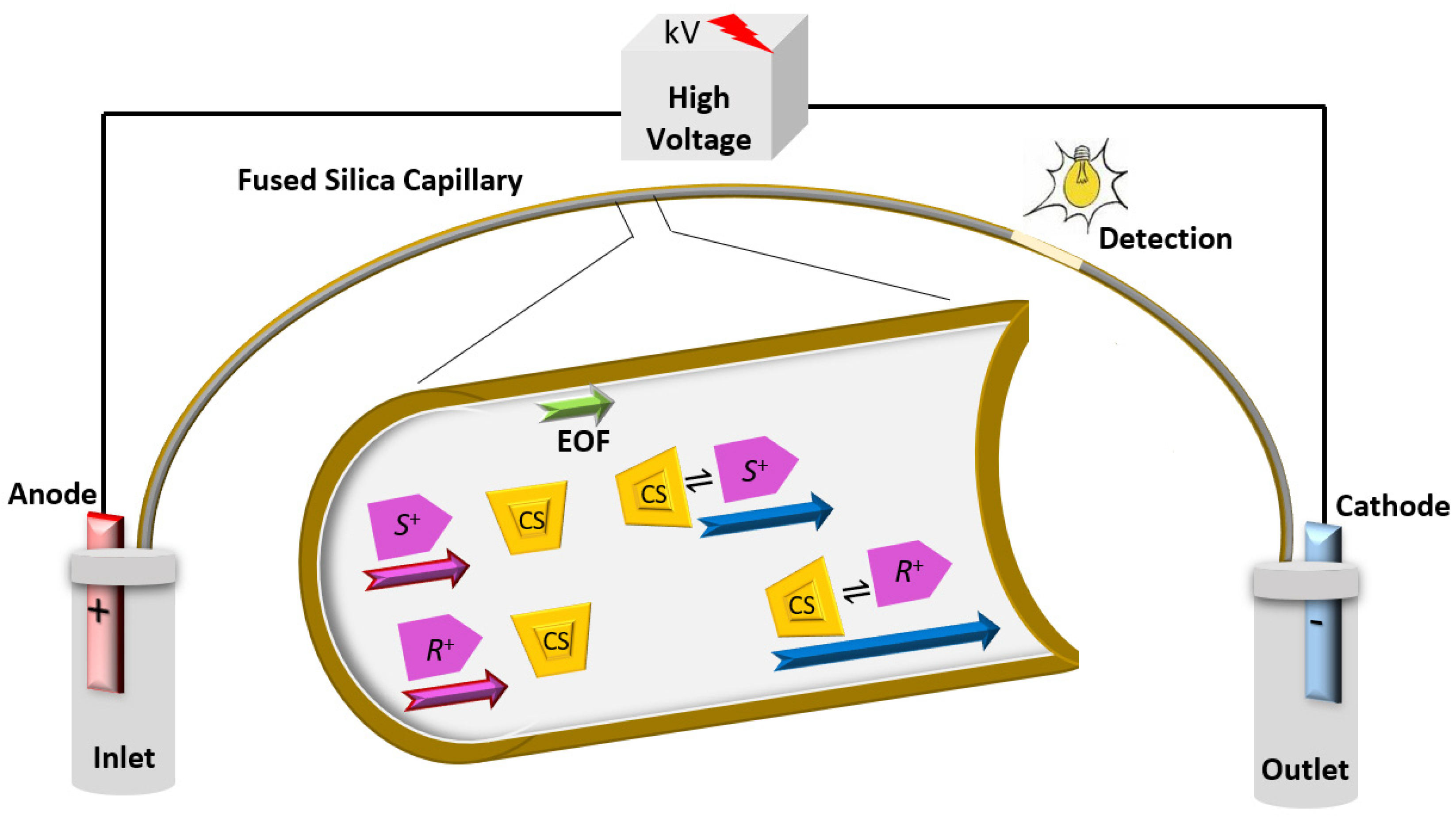 Molecules 26 02841 g001 Molecules 26 02841 g001