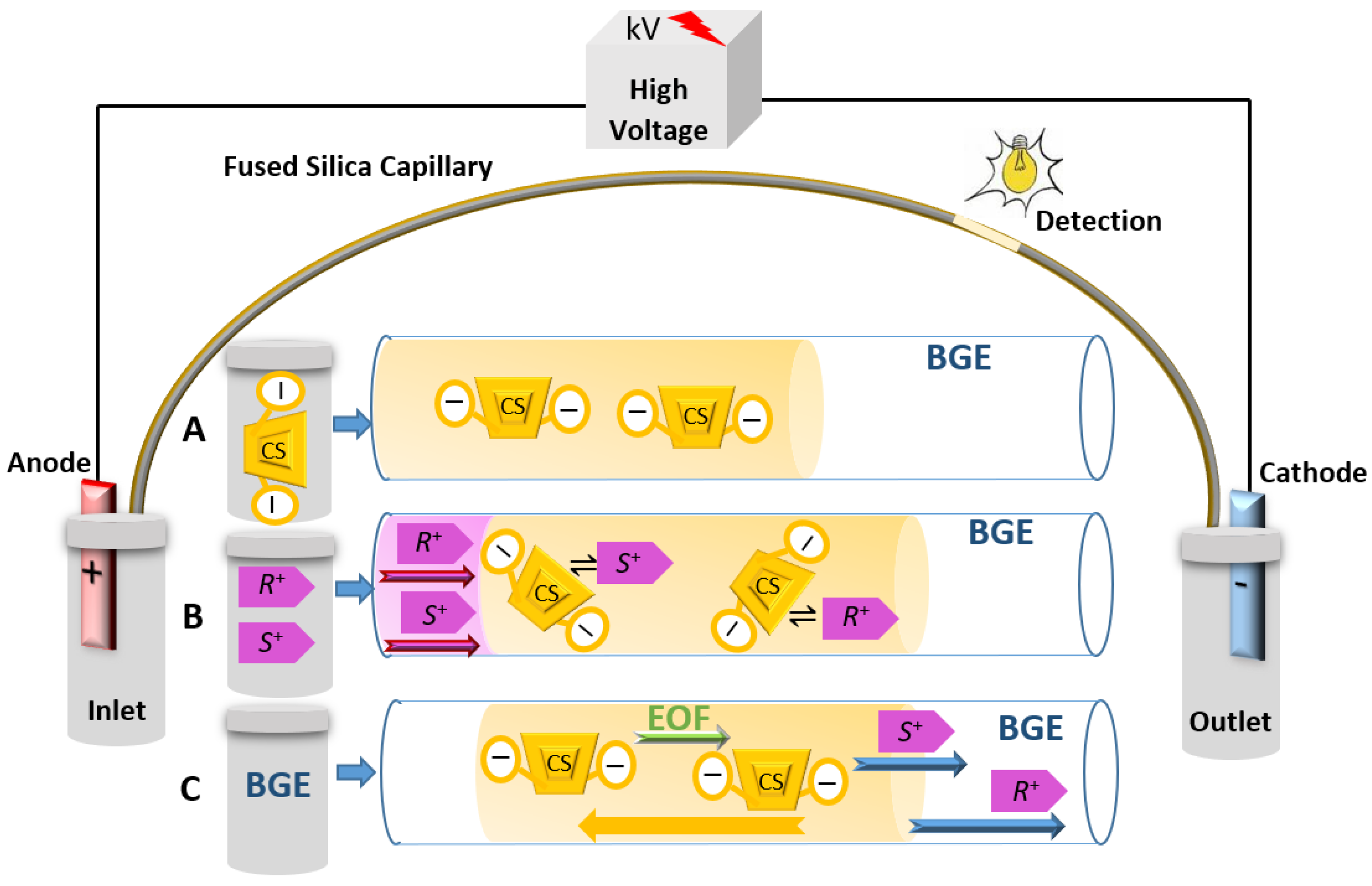 Molecules 26 02841 g006 Molecules 26 02841 g006