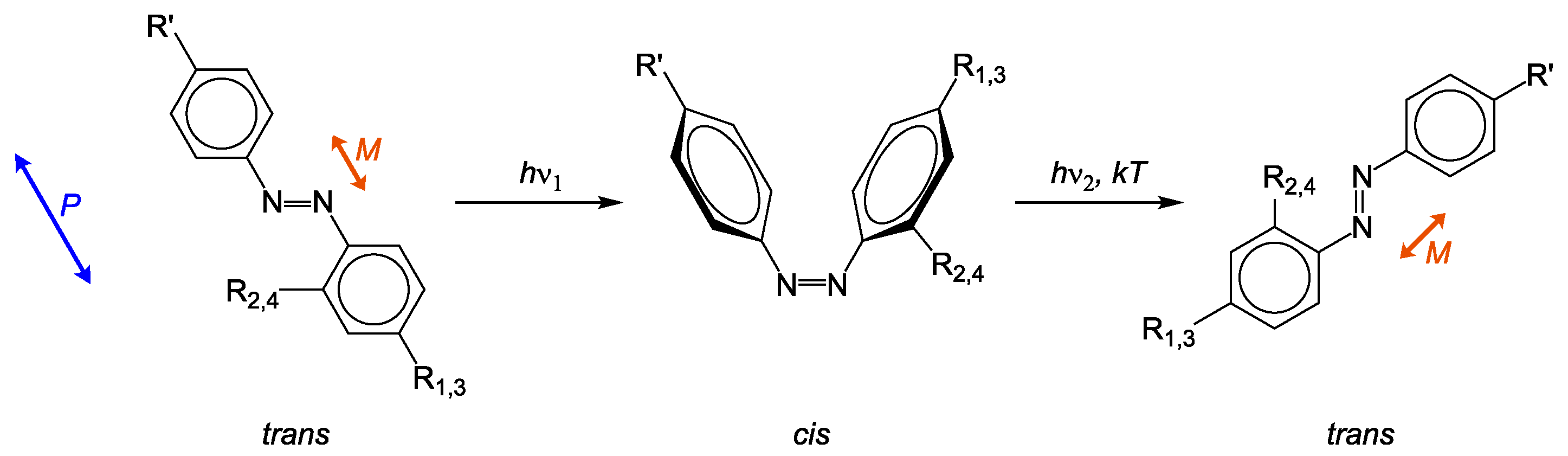 Molecules 26 02842 g001