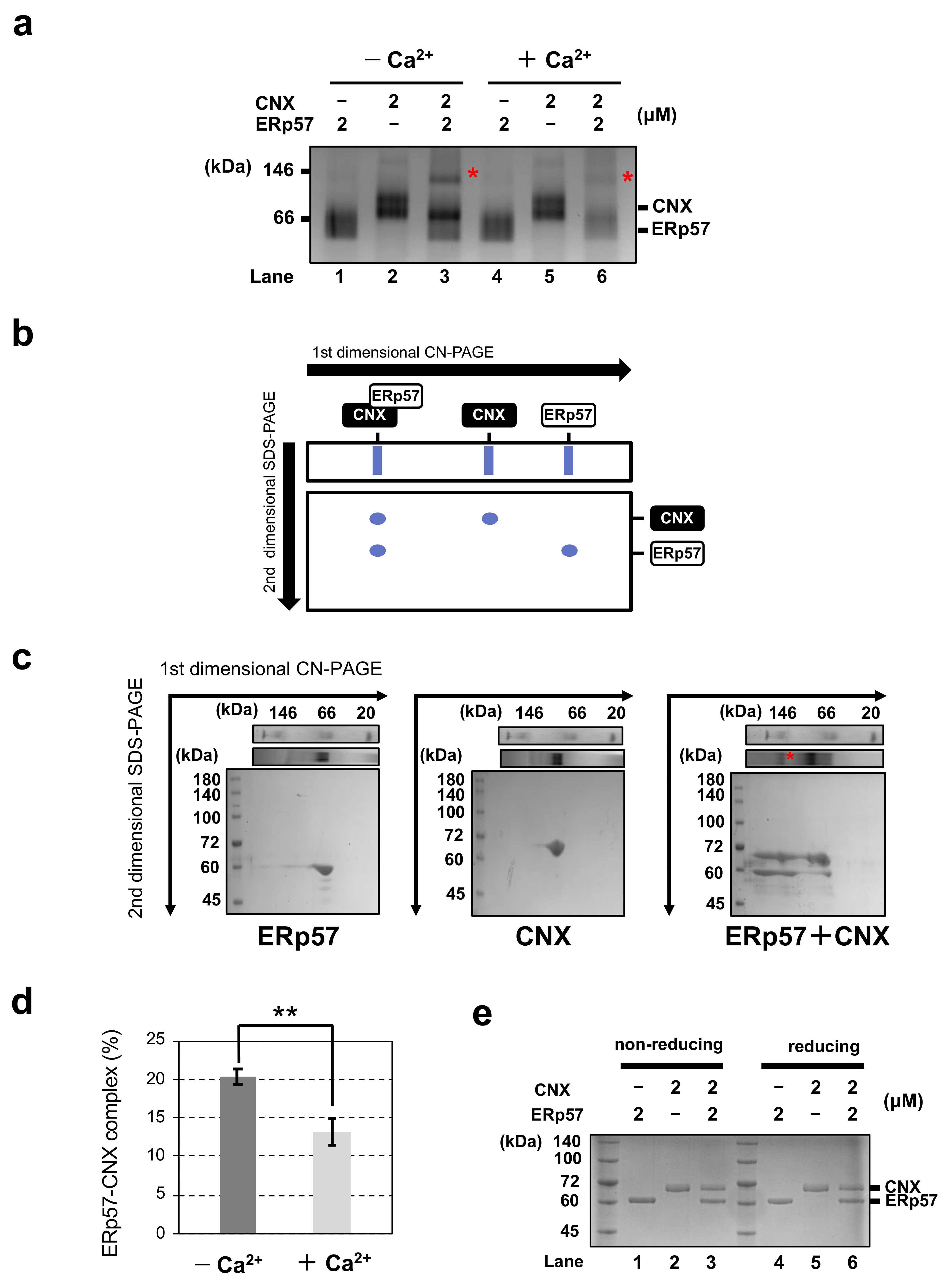 Molecules 26 02853 g001