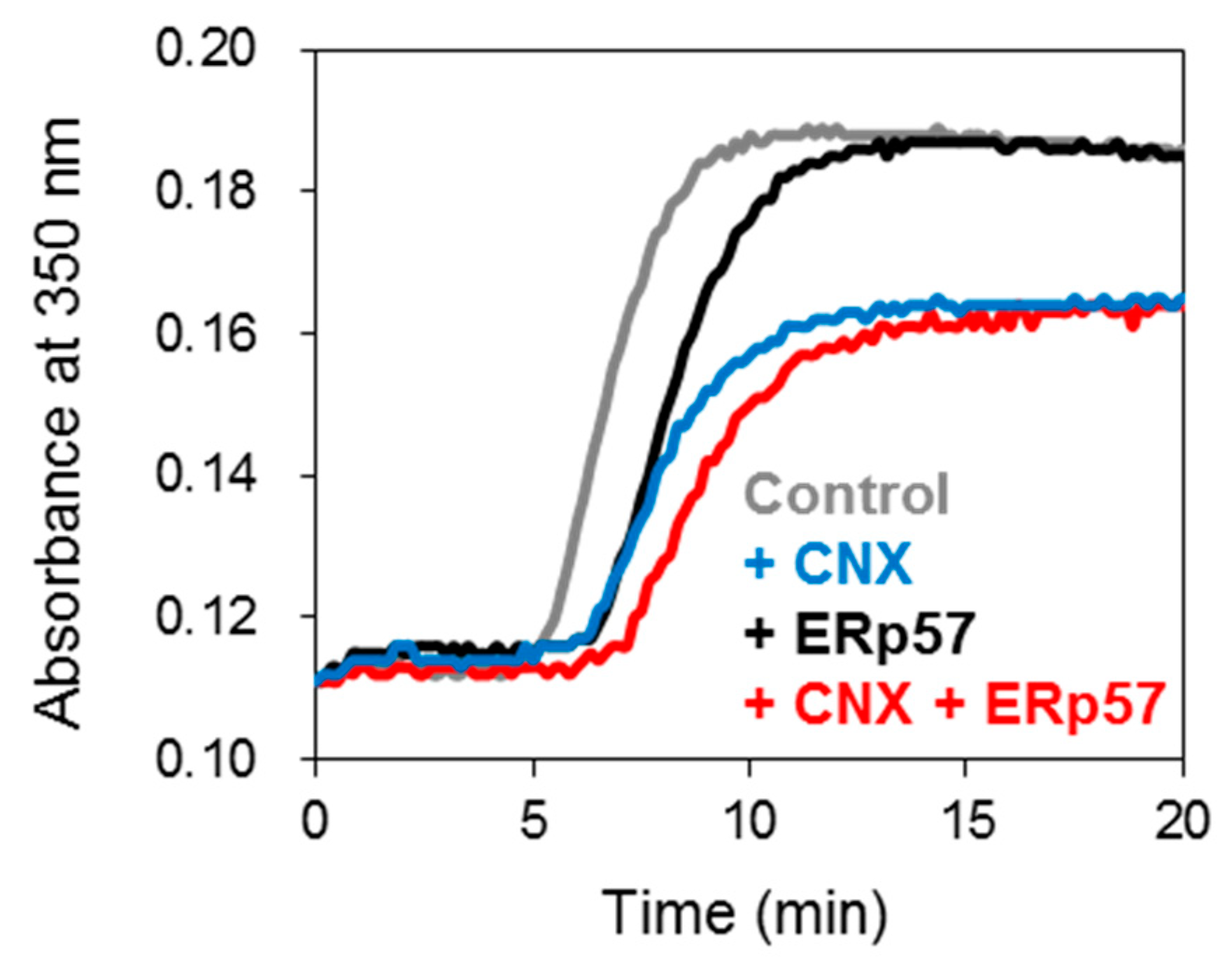 Molecules 26 02853 g004