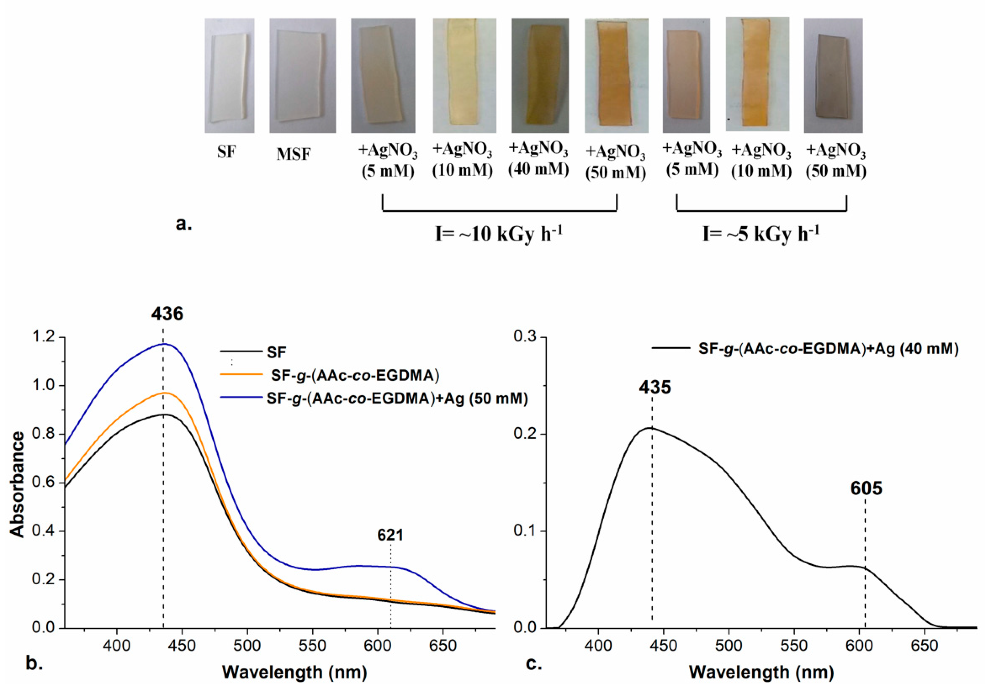 Molecules 26 02859 g003