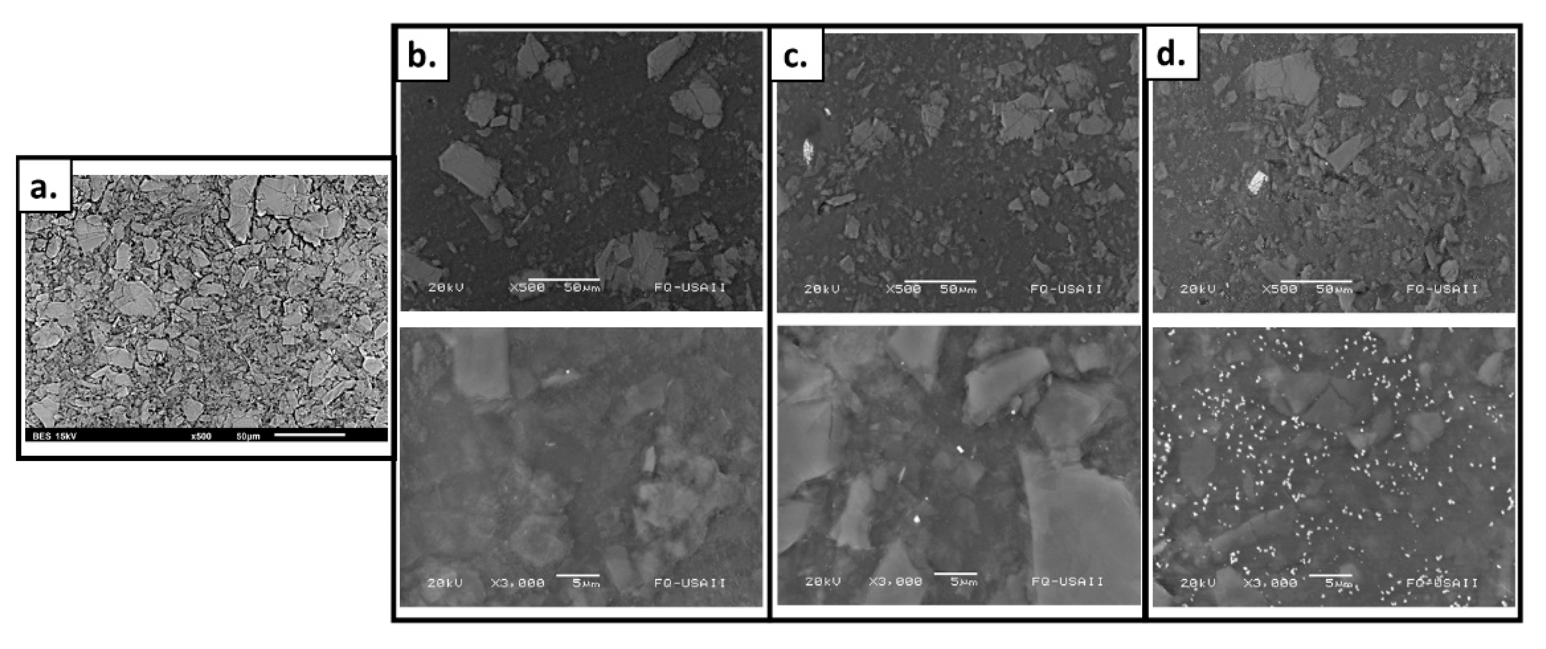 Molecules 26 02859 g004
