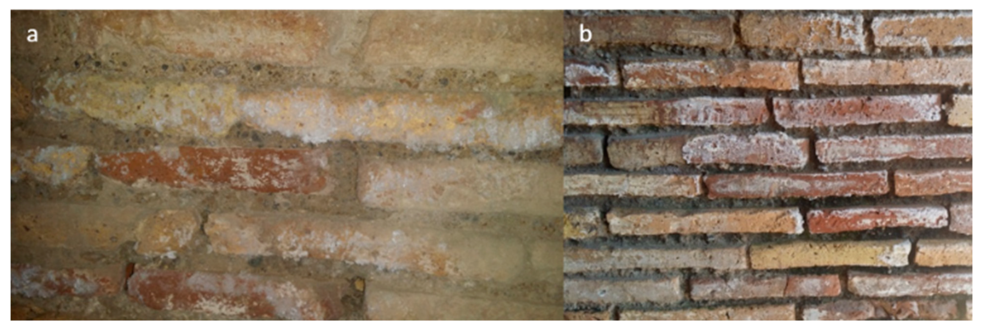 Molecules 26 02866 g003
