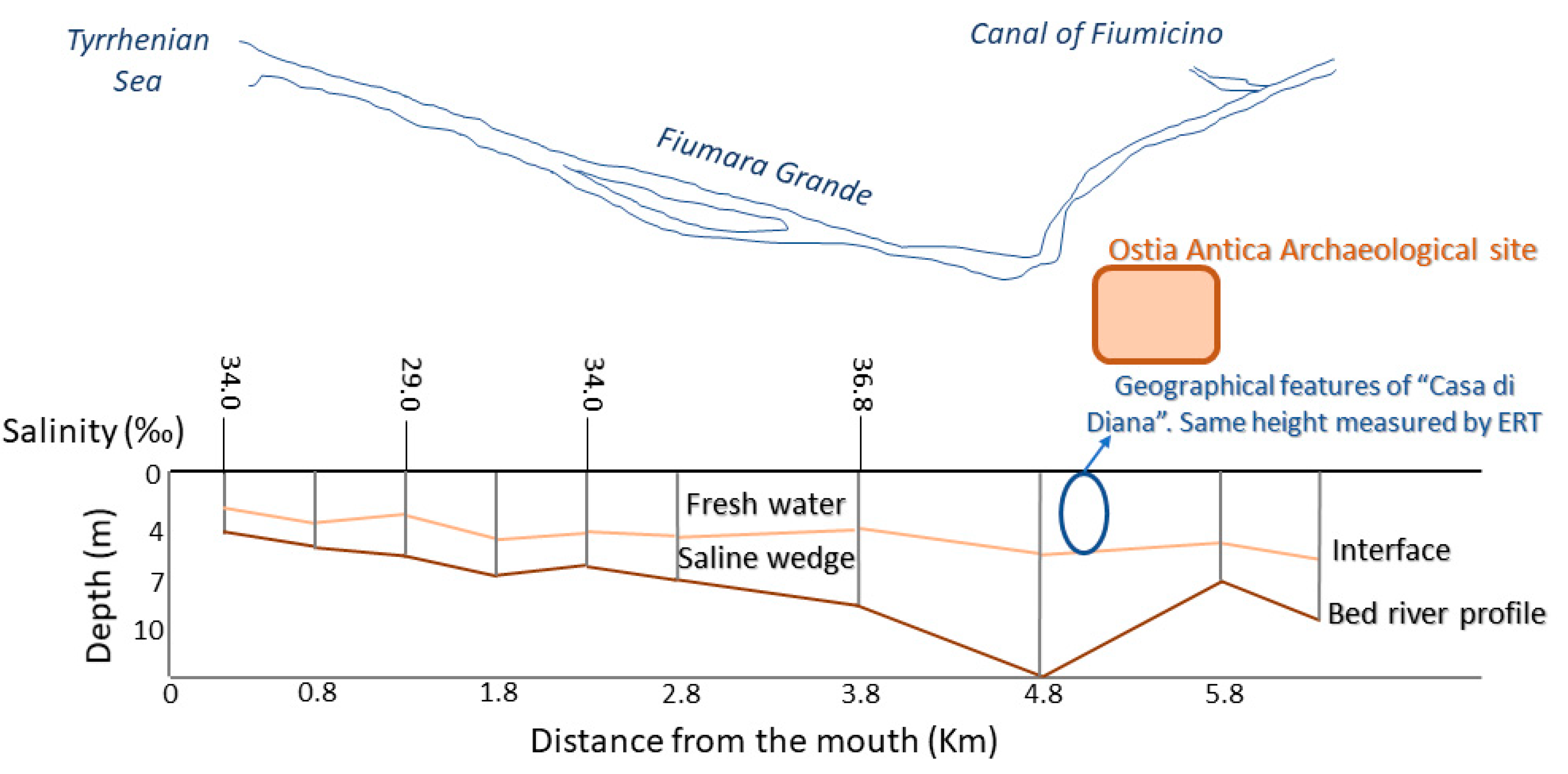 Molecules 26 02866 g006