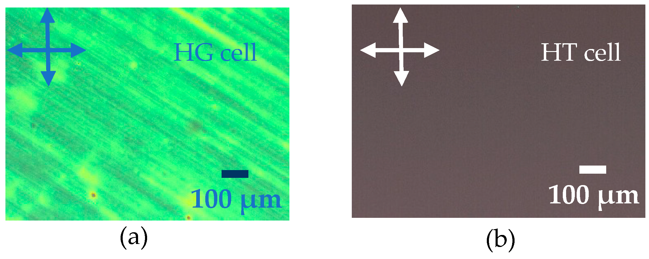 Molecules 26 02873 g007 Molecules 26 02873 g007