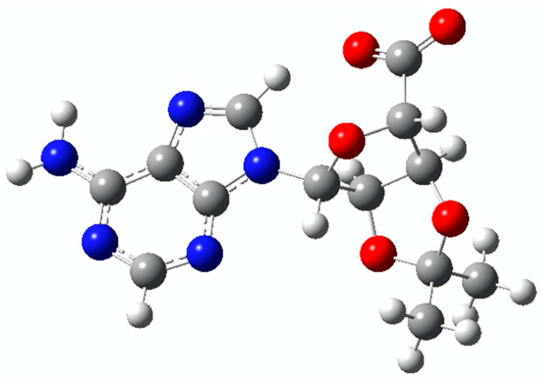 Molecules 26 02877 g001