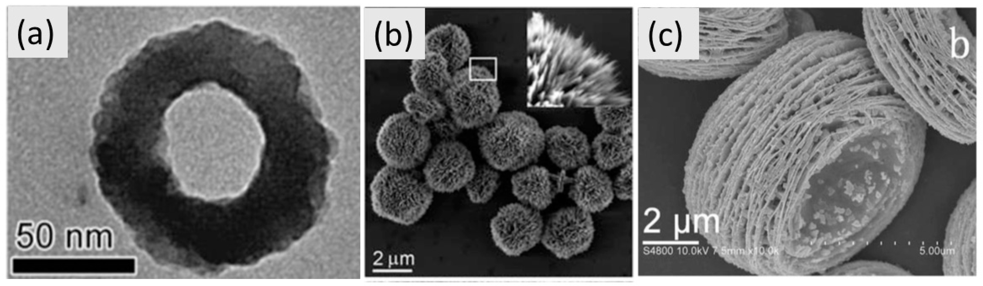 Molecules 26 02882 g009