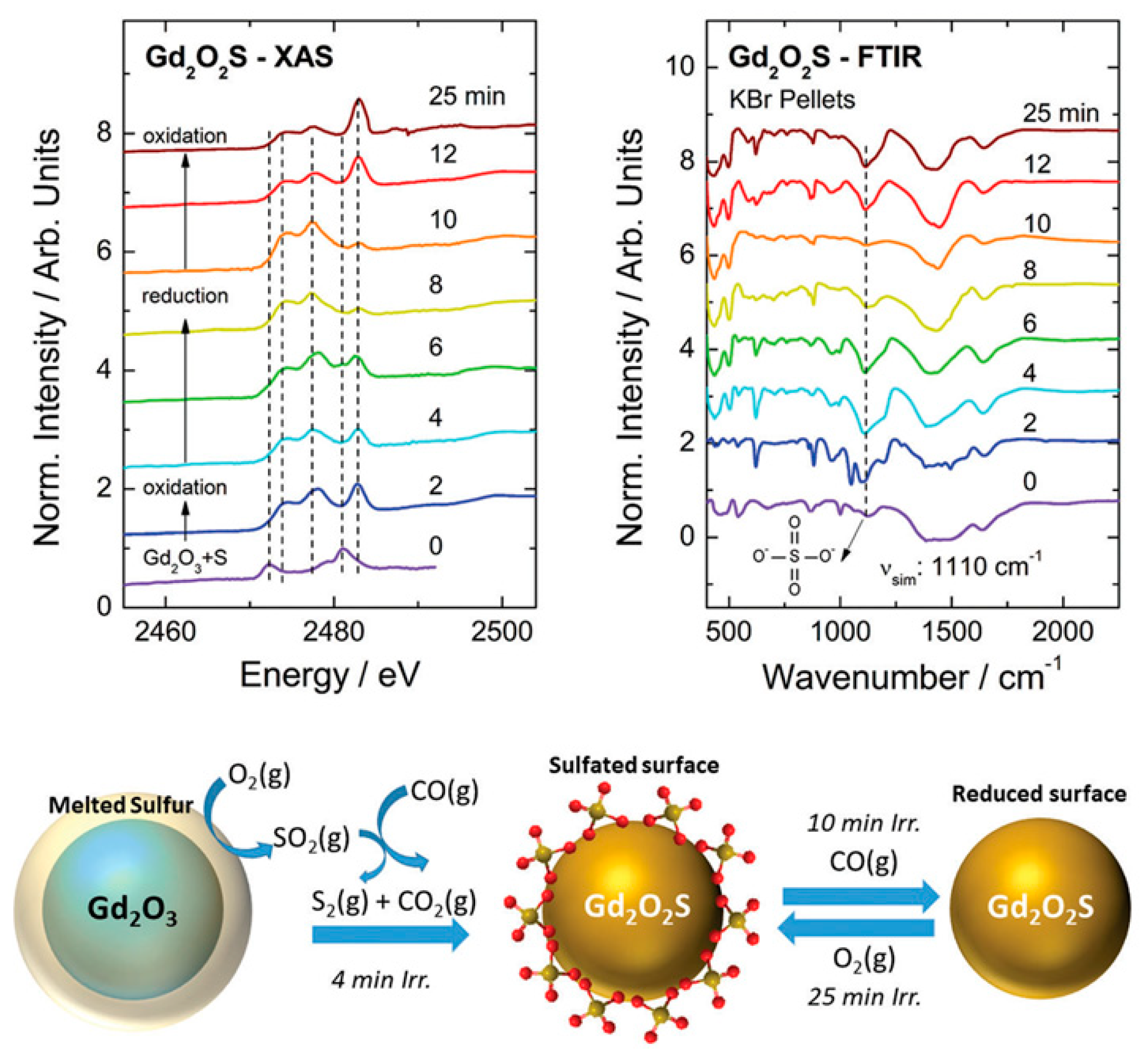 Molecules 26 02882 g014