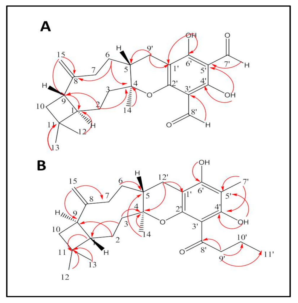 Molecules 26 02891 g001 Molecules 26 02891 g001