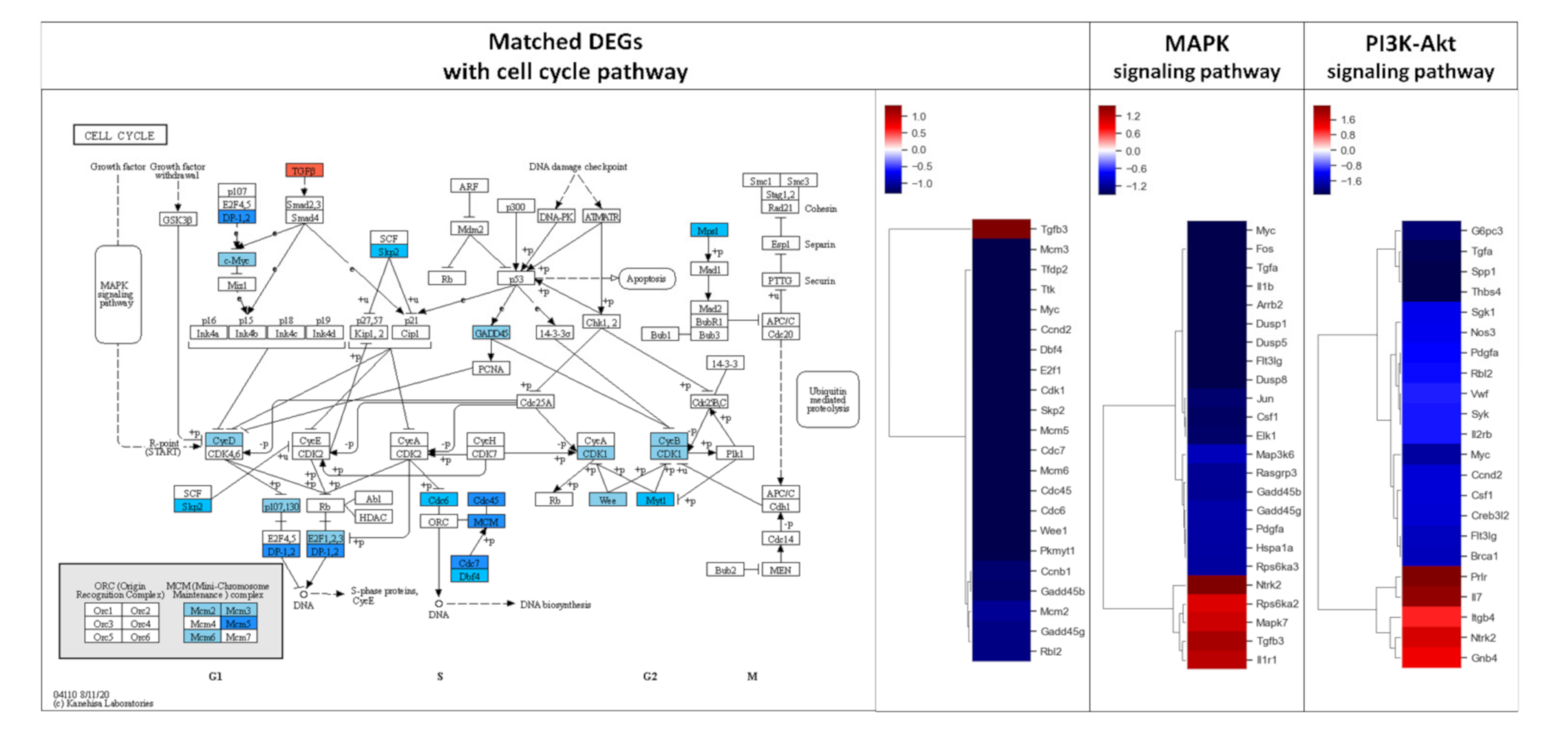 Molecules 26 02895 g003 Molecules 26 02895 g003