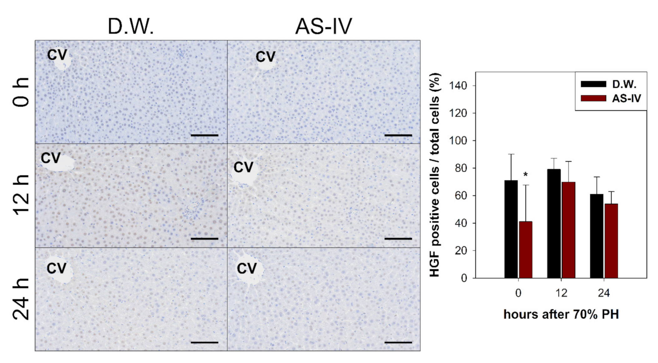 Molecules 26 02895 g004 Molecules 26 02895 g004