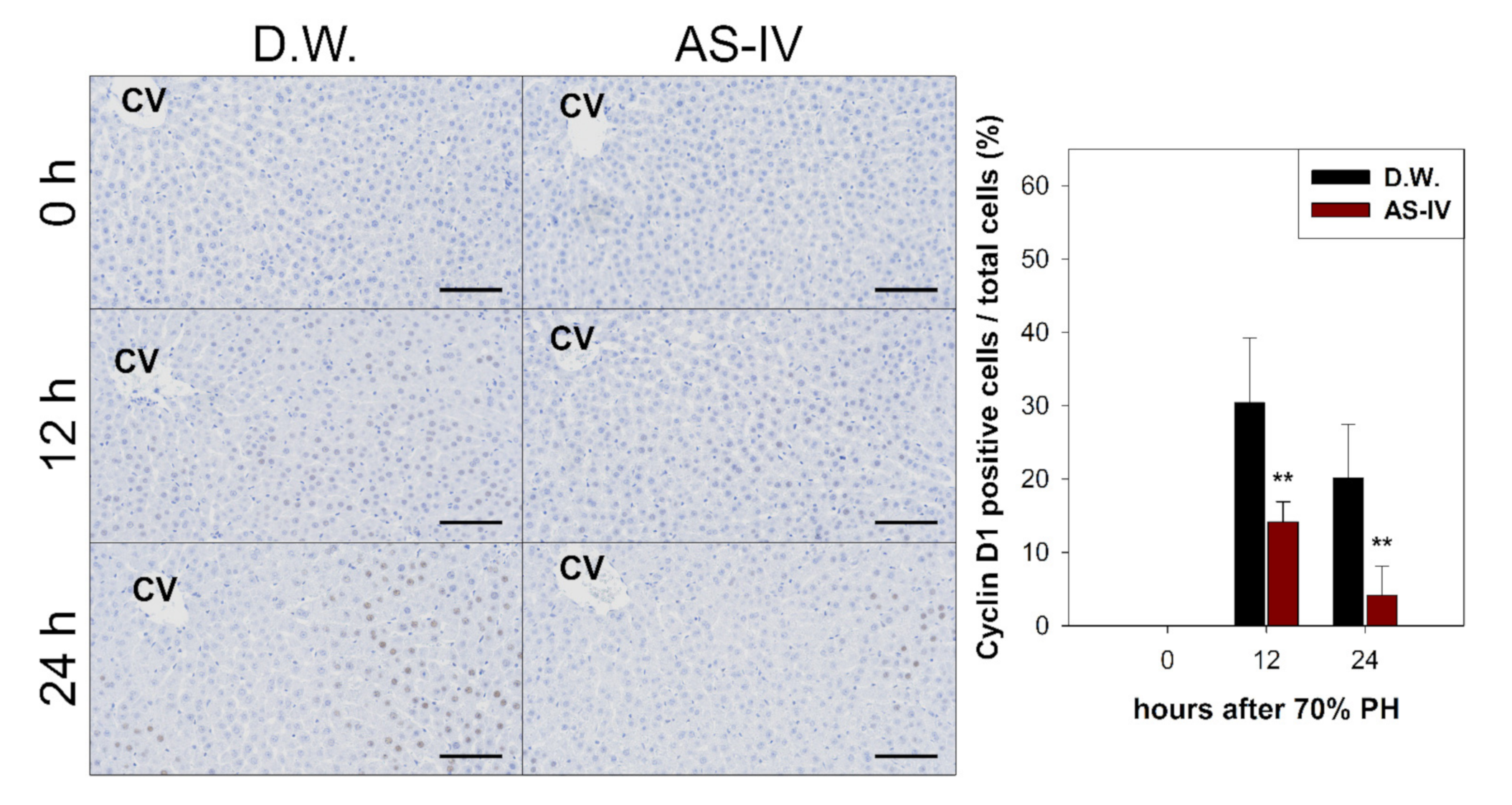Molecules 26 02895 g005 Molecules 26 02895 g005