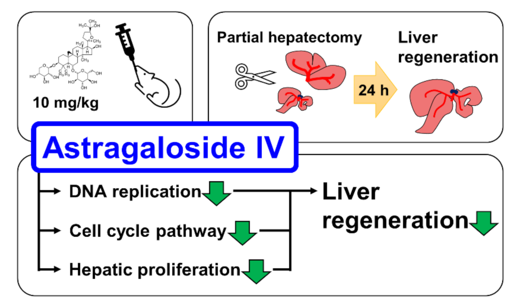 Molecules 26 02895 g008 Molecules 26 02895 g008