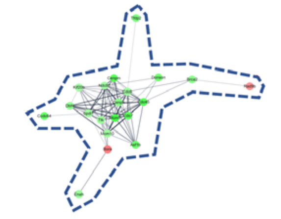 Molecules 26 02895 i001