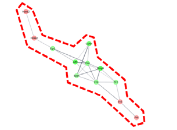 Molecules 26 02895 i002