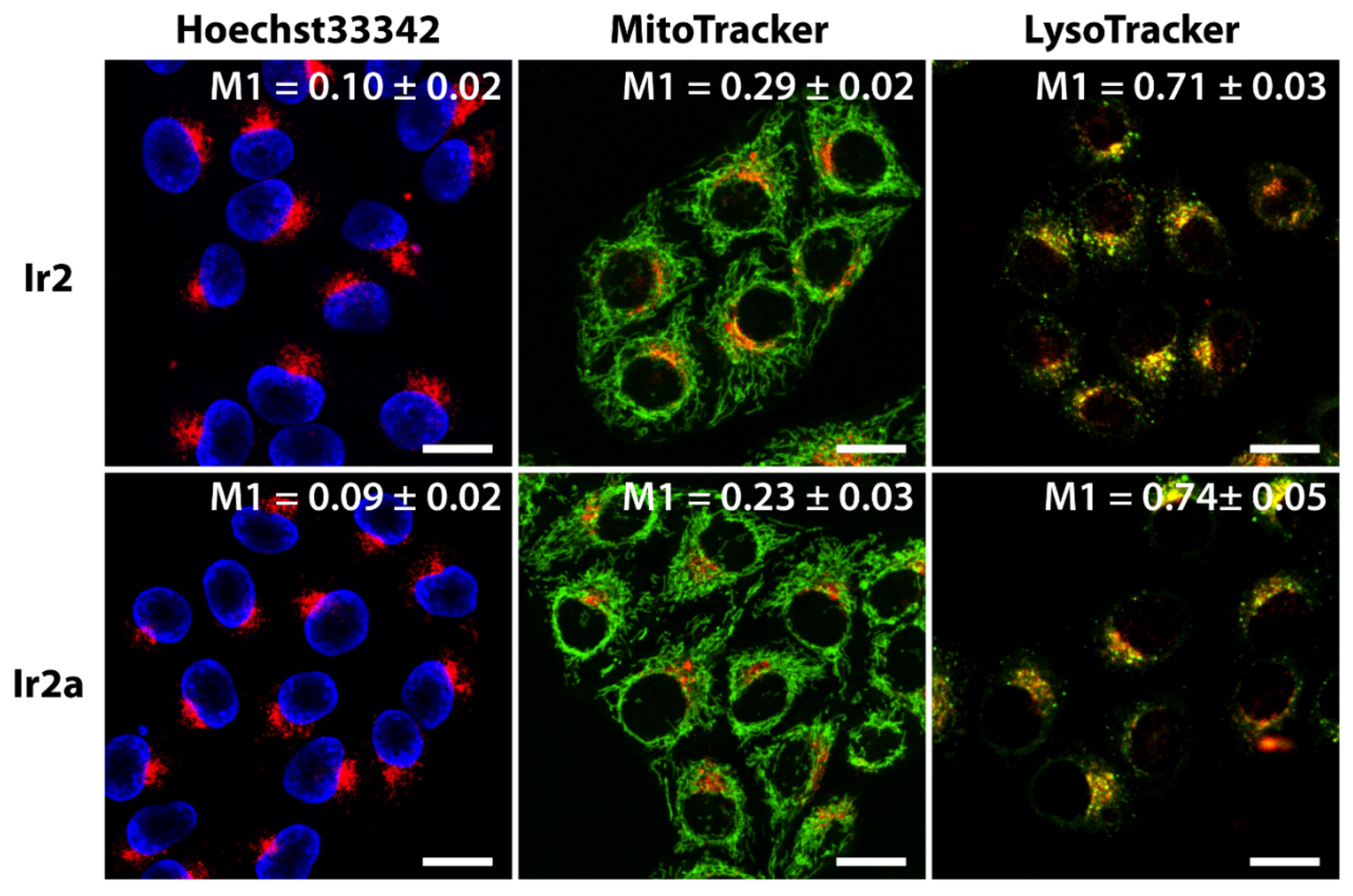 Molecules 26 02898 g007