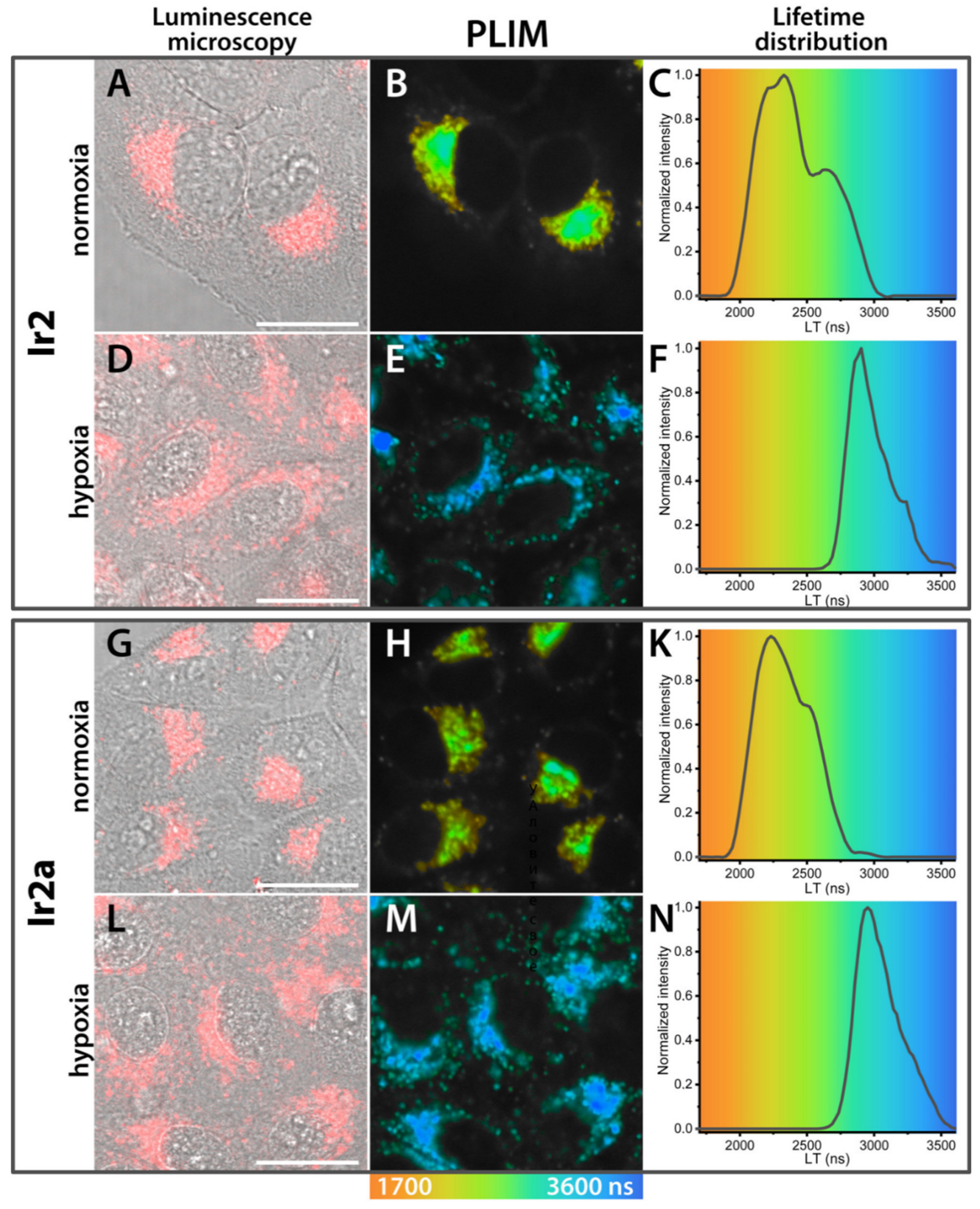 Molecules 26 02898 g008