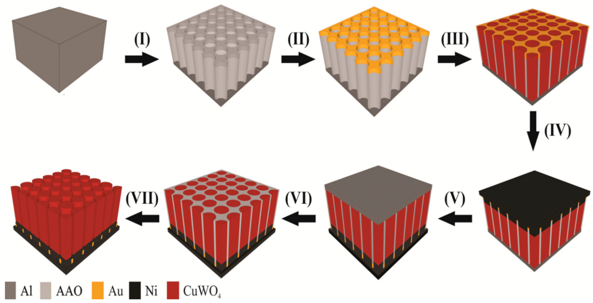 Molecules 26 02900 g001 Molecules 26 02900 g001