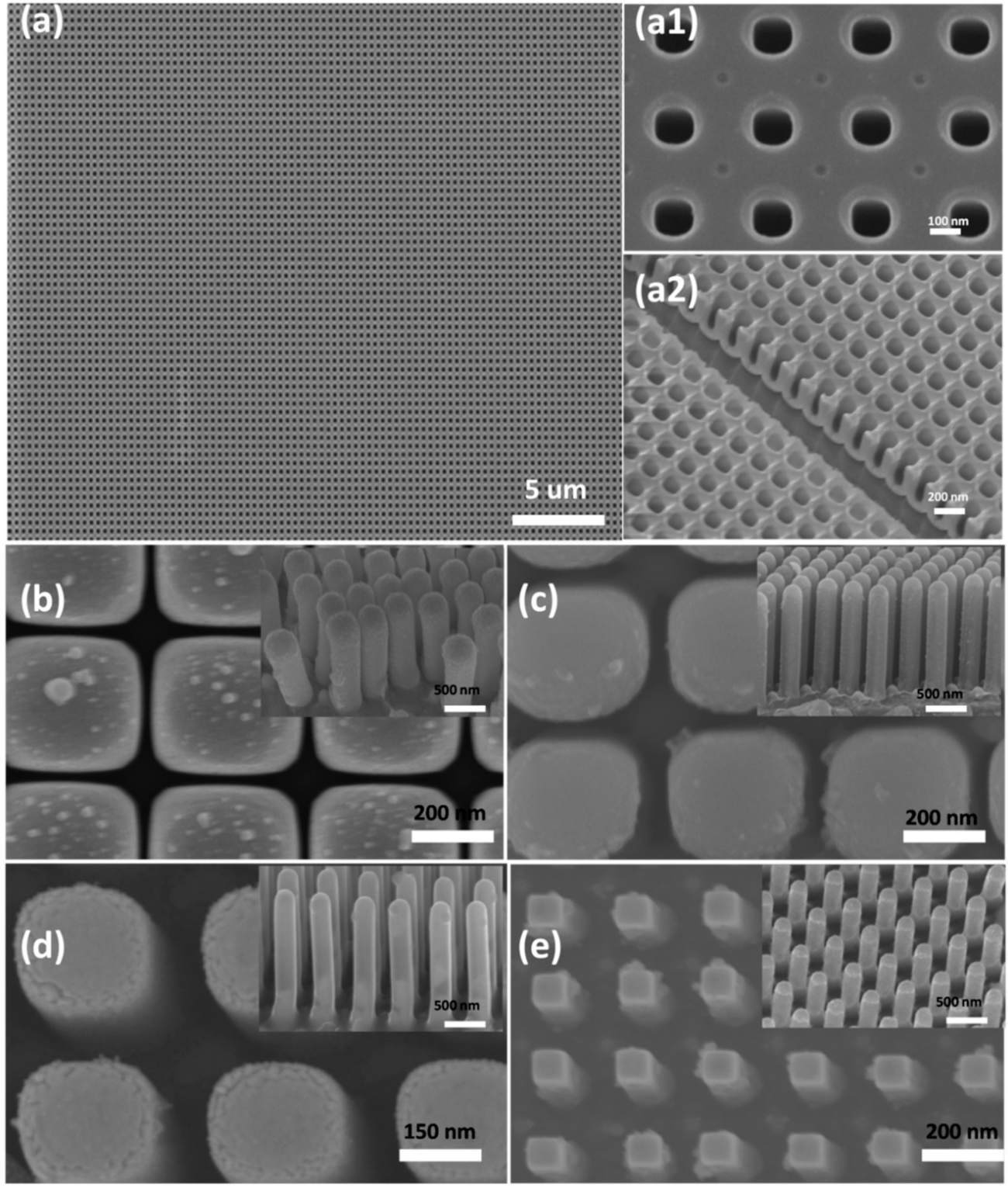 Molecules 26 02900 g002 Molecules 26 02900 g002