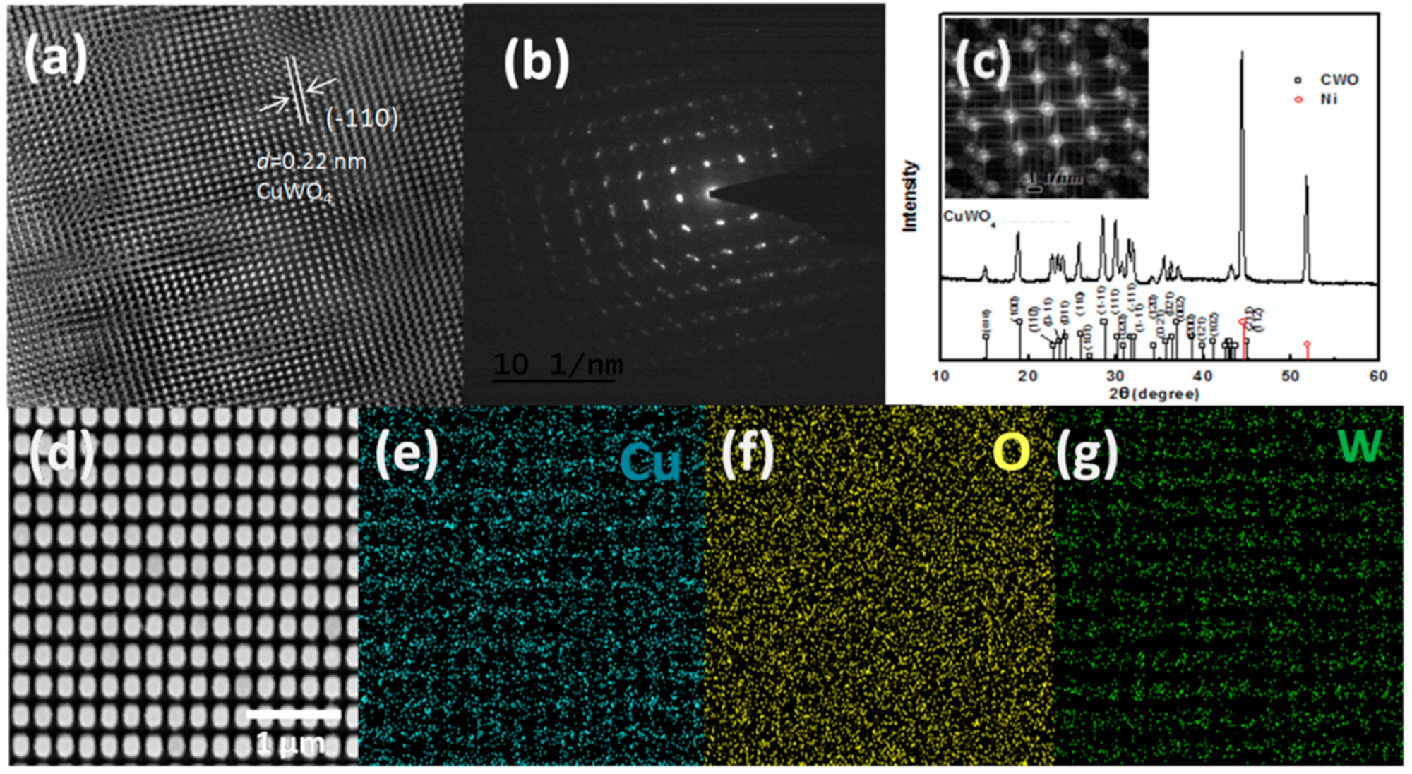 Molecules 26 02900 g003 Molecules 26 02900 g003