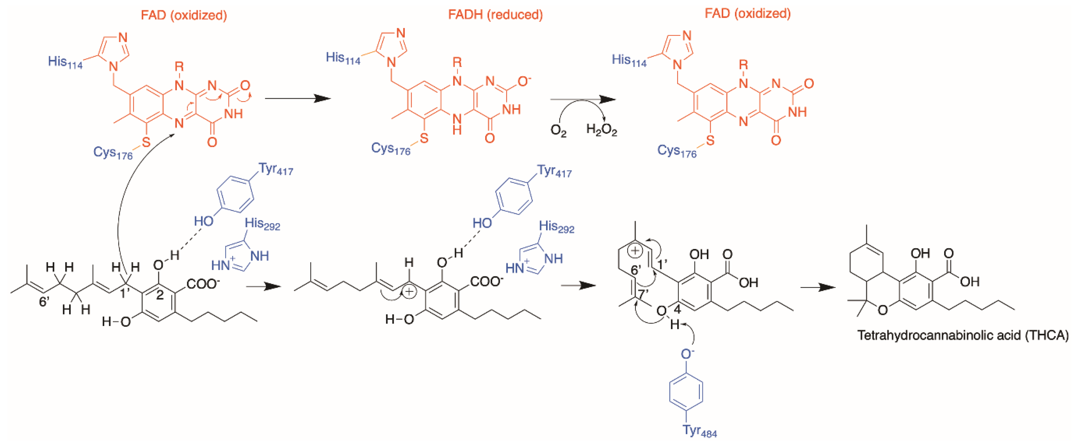 Molecules 26 02914 g010