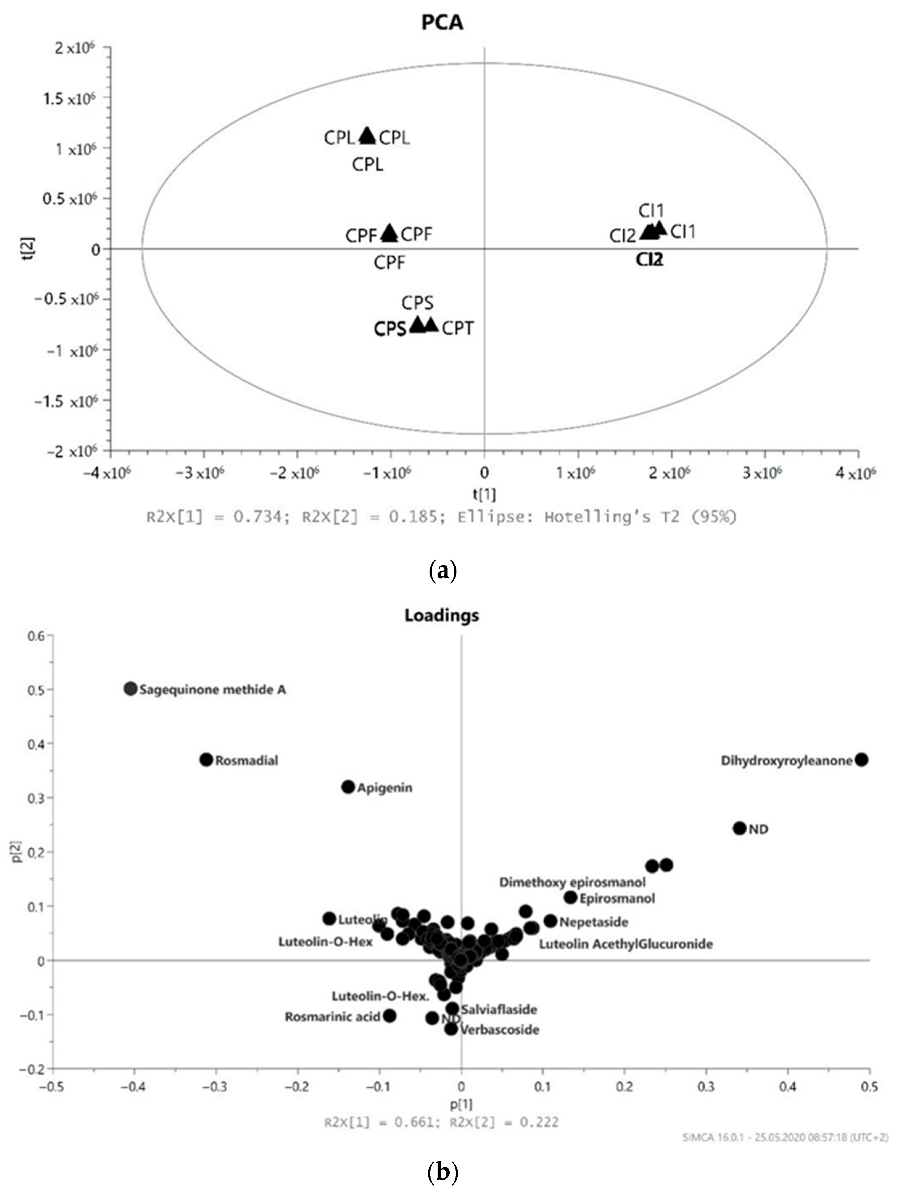 Molecules 26 02915 g001a