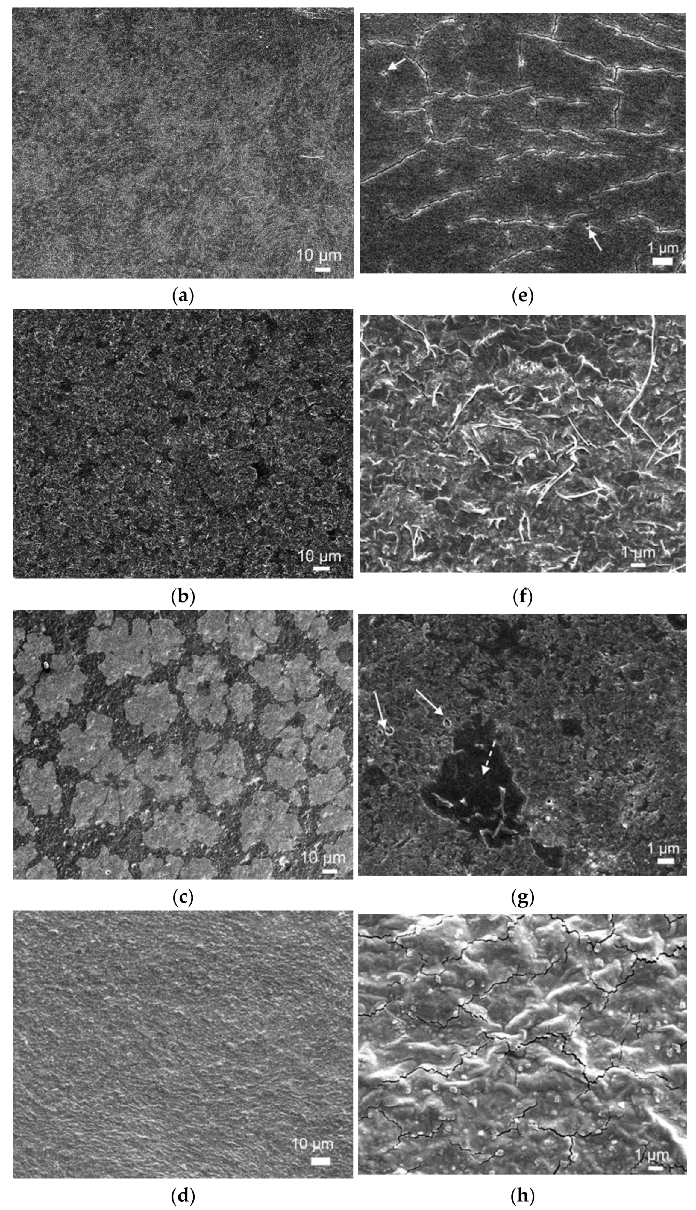 Molecules 26 02916 g007