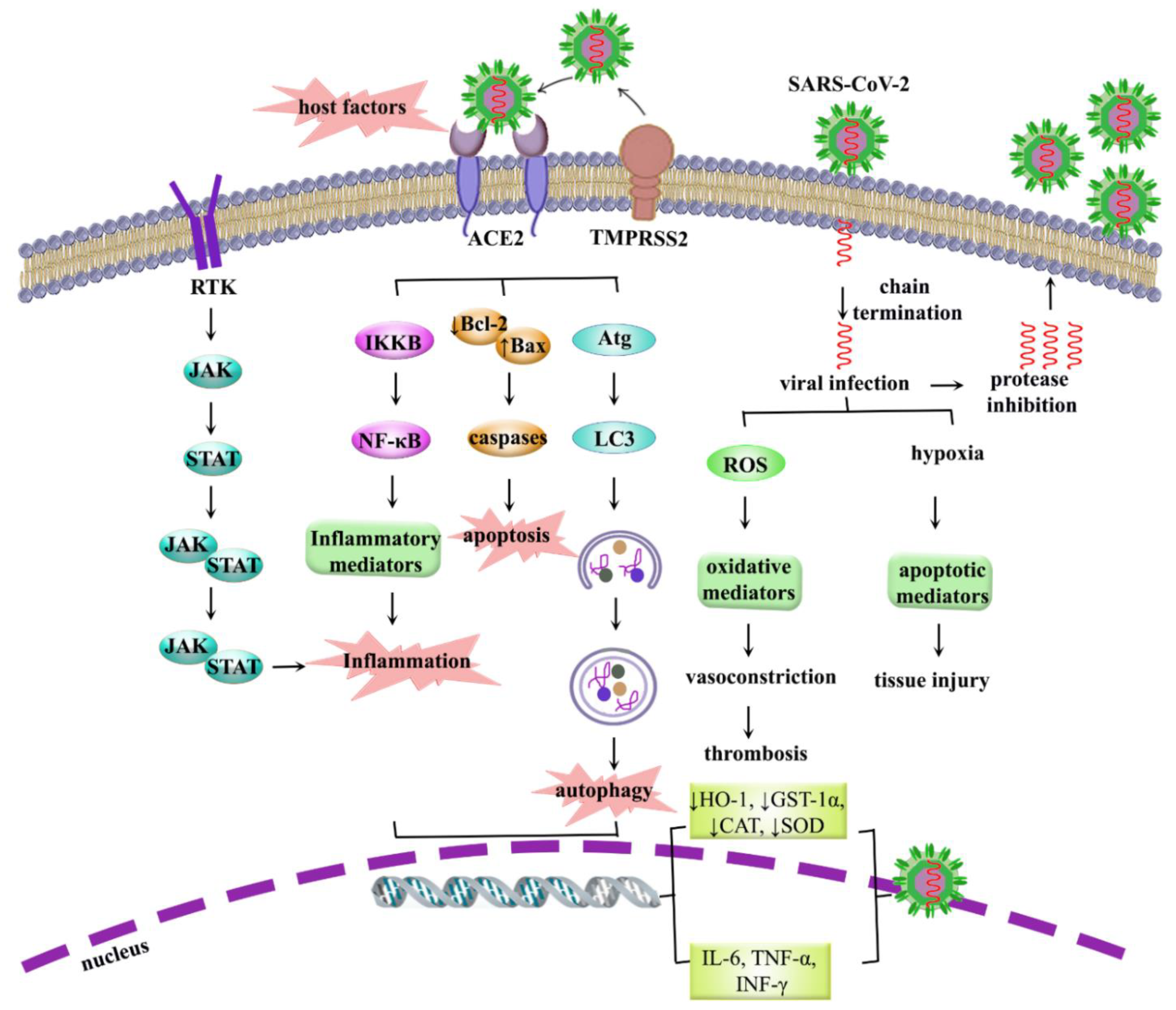 Molecules 26 02917 g001 Molecules 26 02917 g001