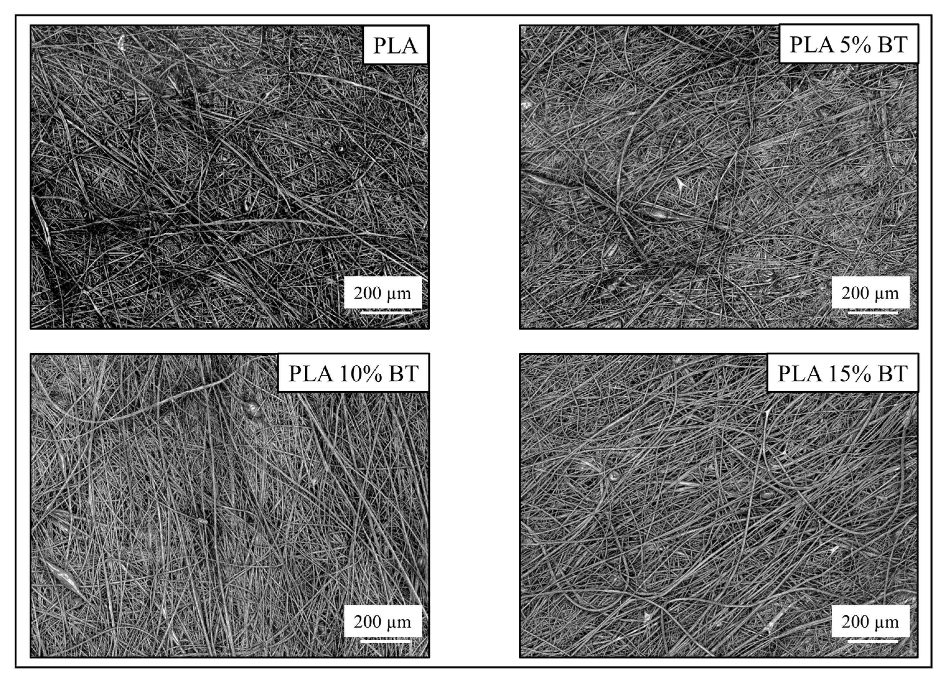 Molecules 26 02918 g001
