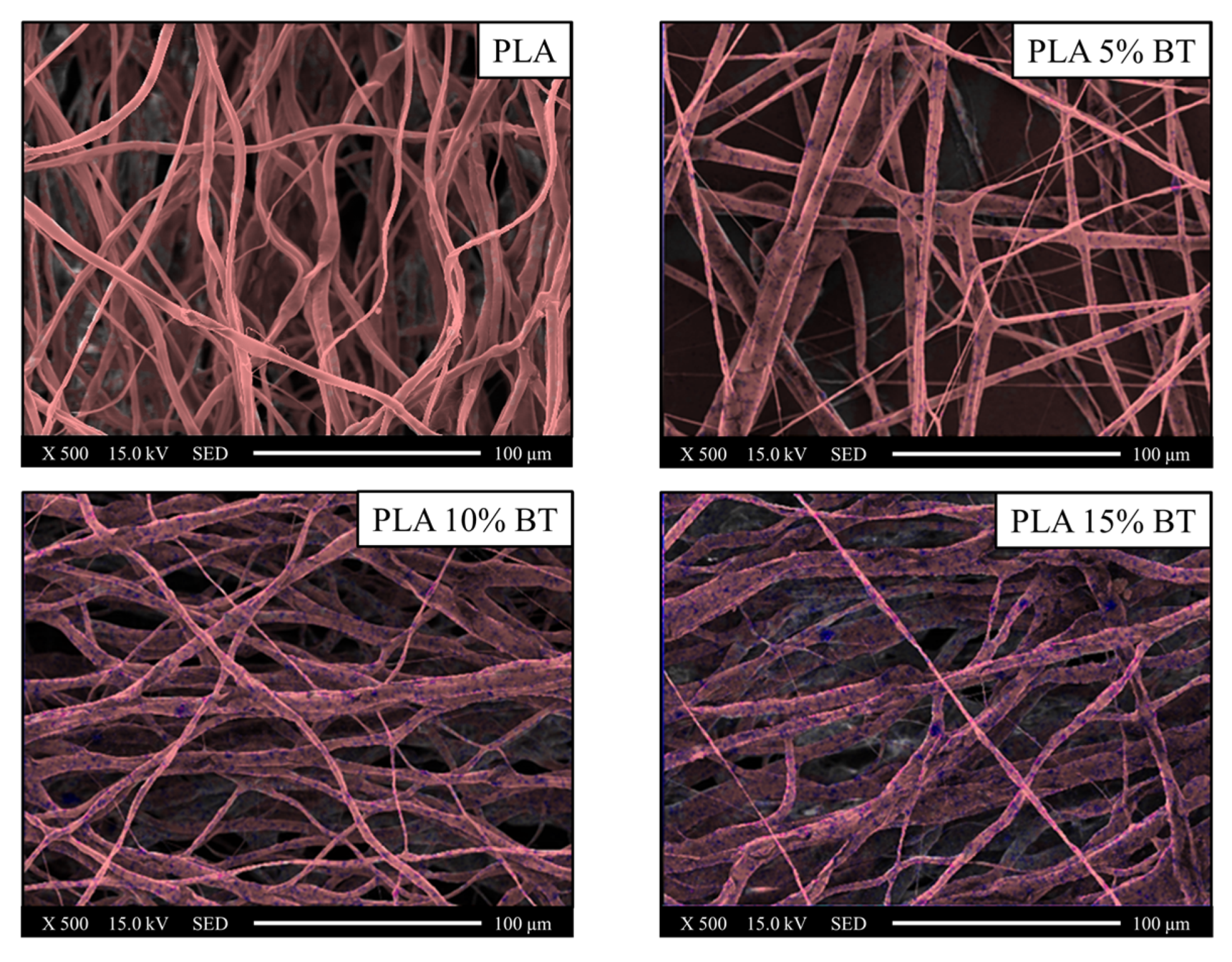 Molecules 26 02918 g004