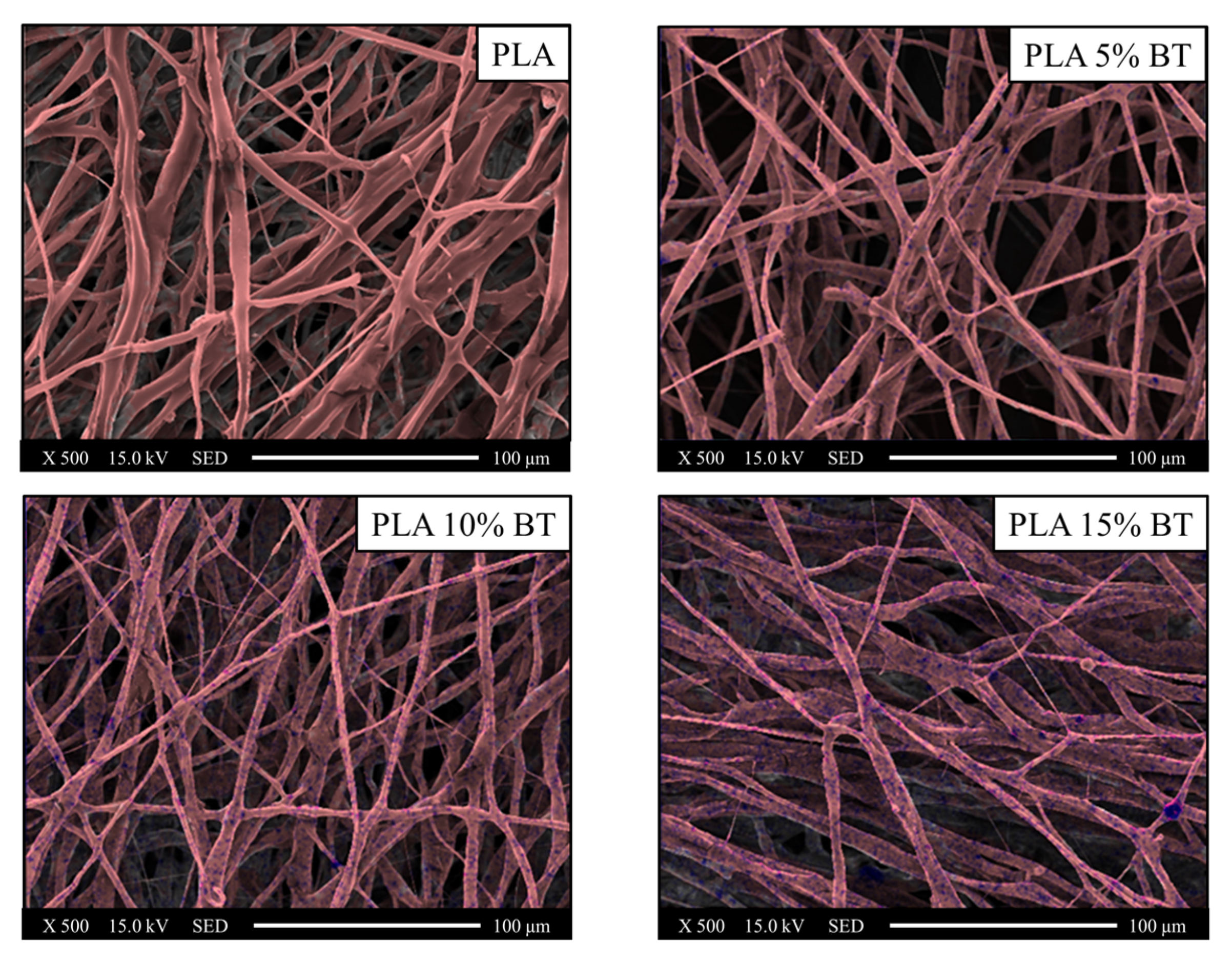 Molecules 26 02918 g005