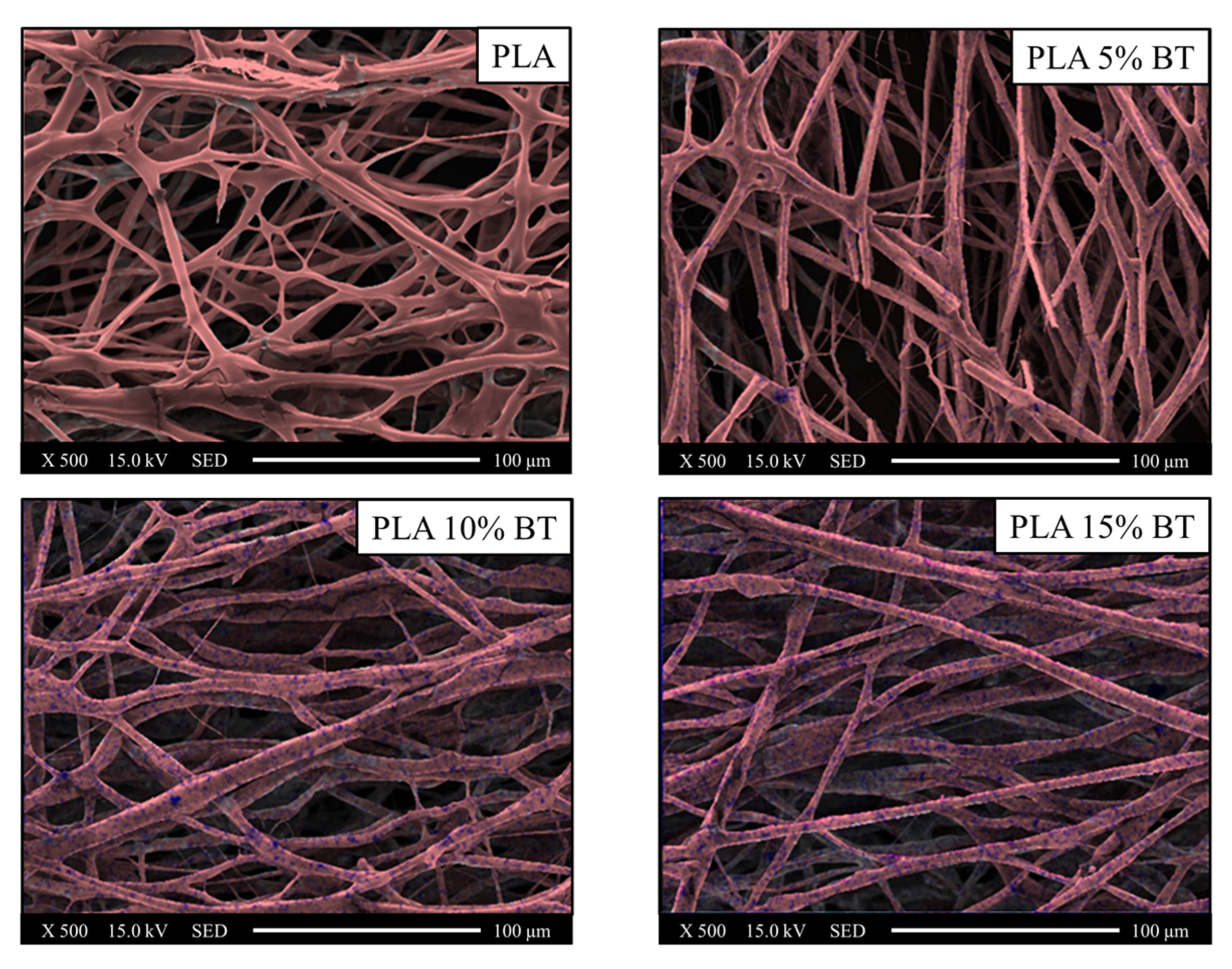 Molecules 26 02918 g006