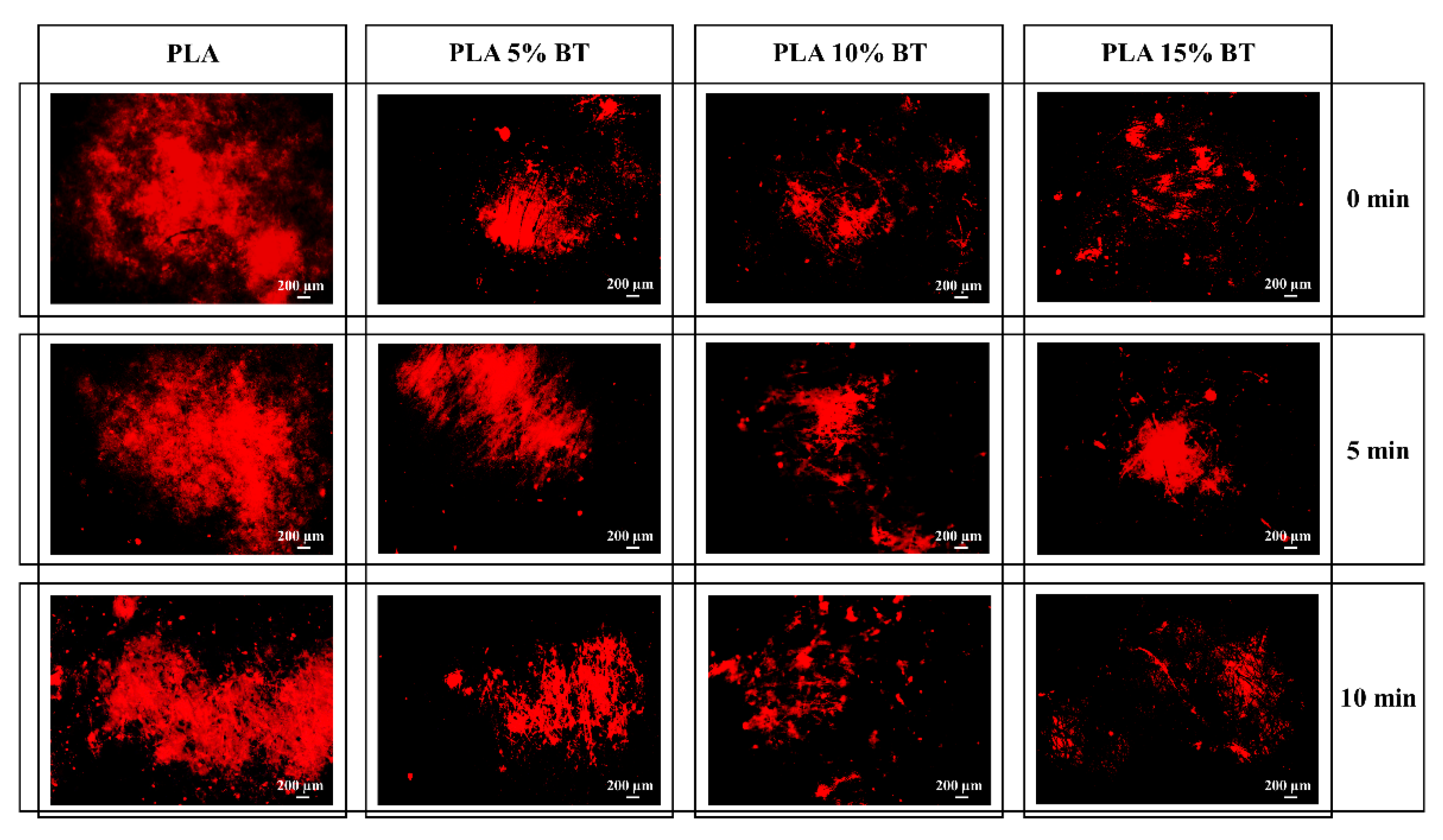 Molecules 26 02918 g012