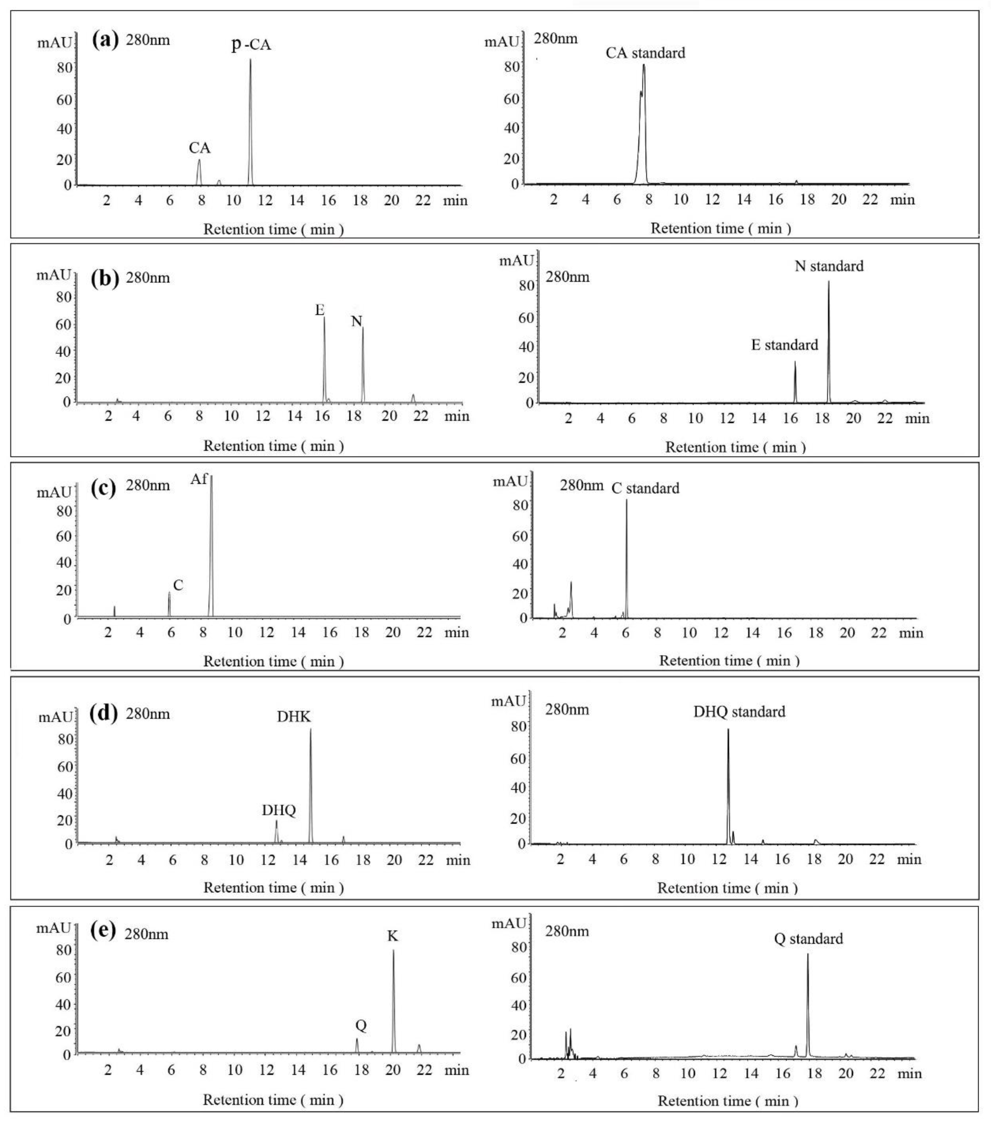 Molecules 26 02919 g006